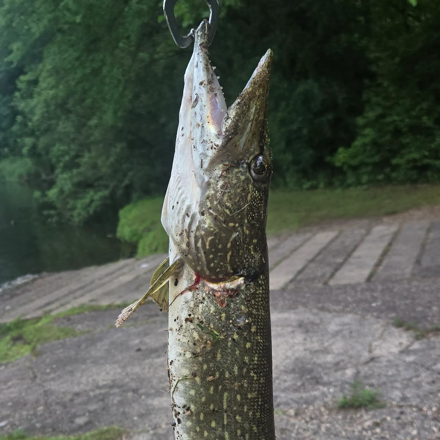 catch