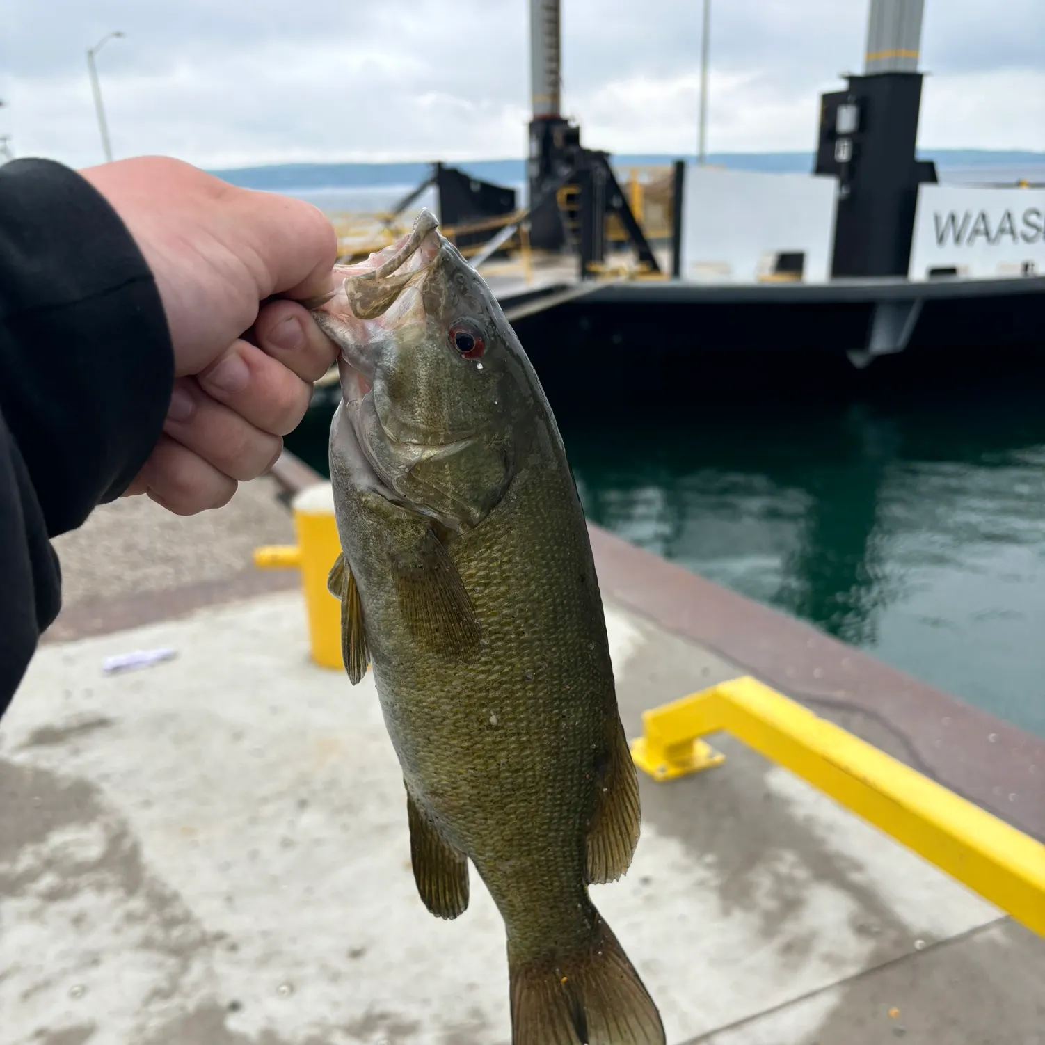 angler catch