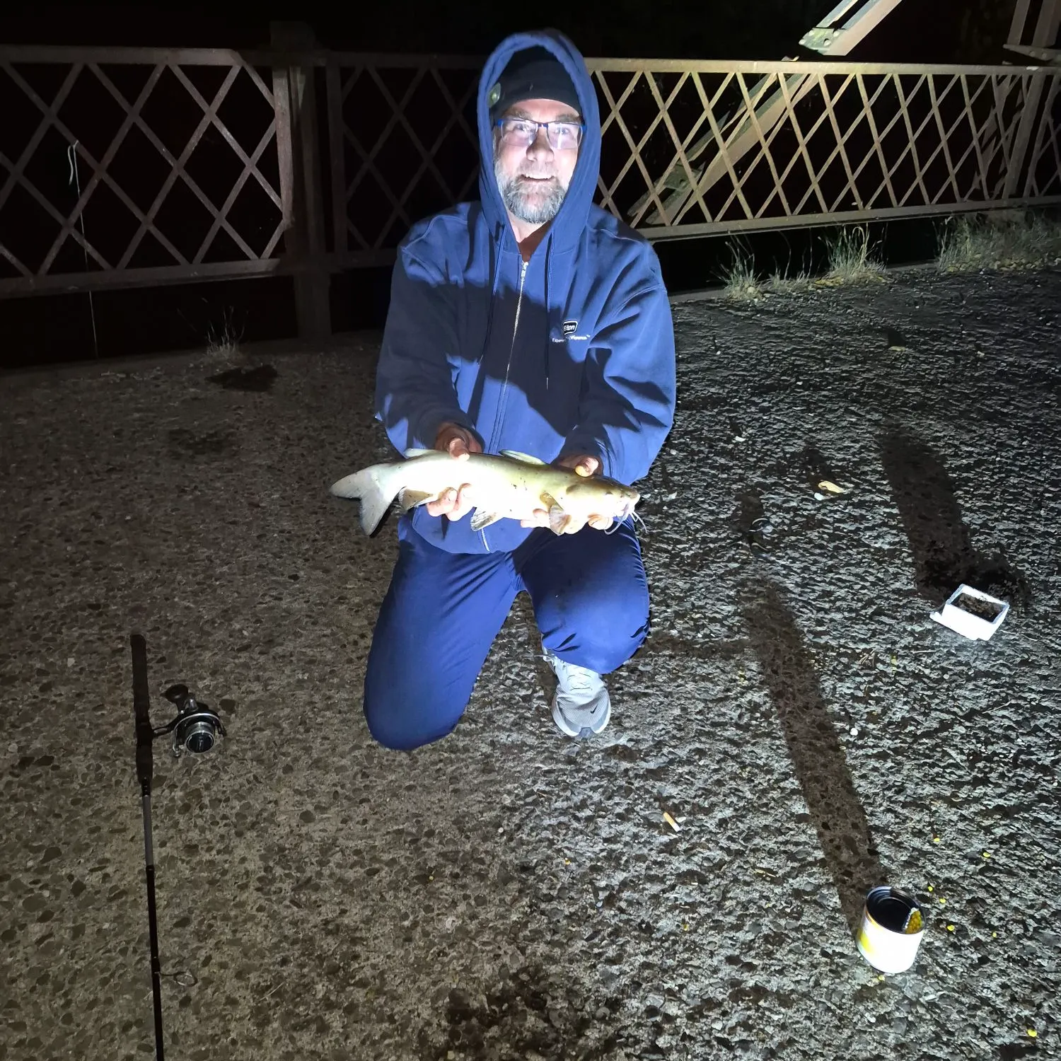 Channel catfish caught on Fishbrain