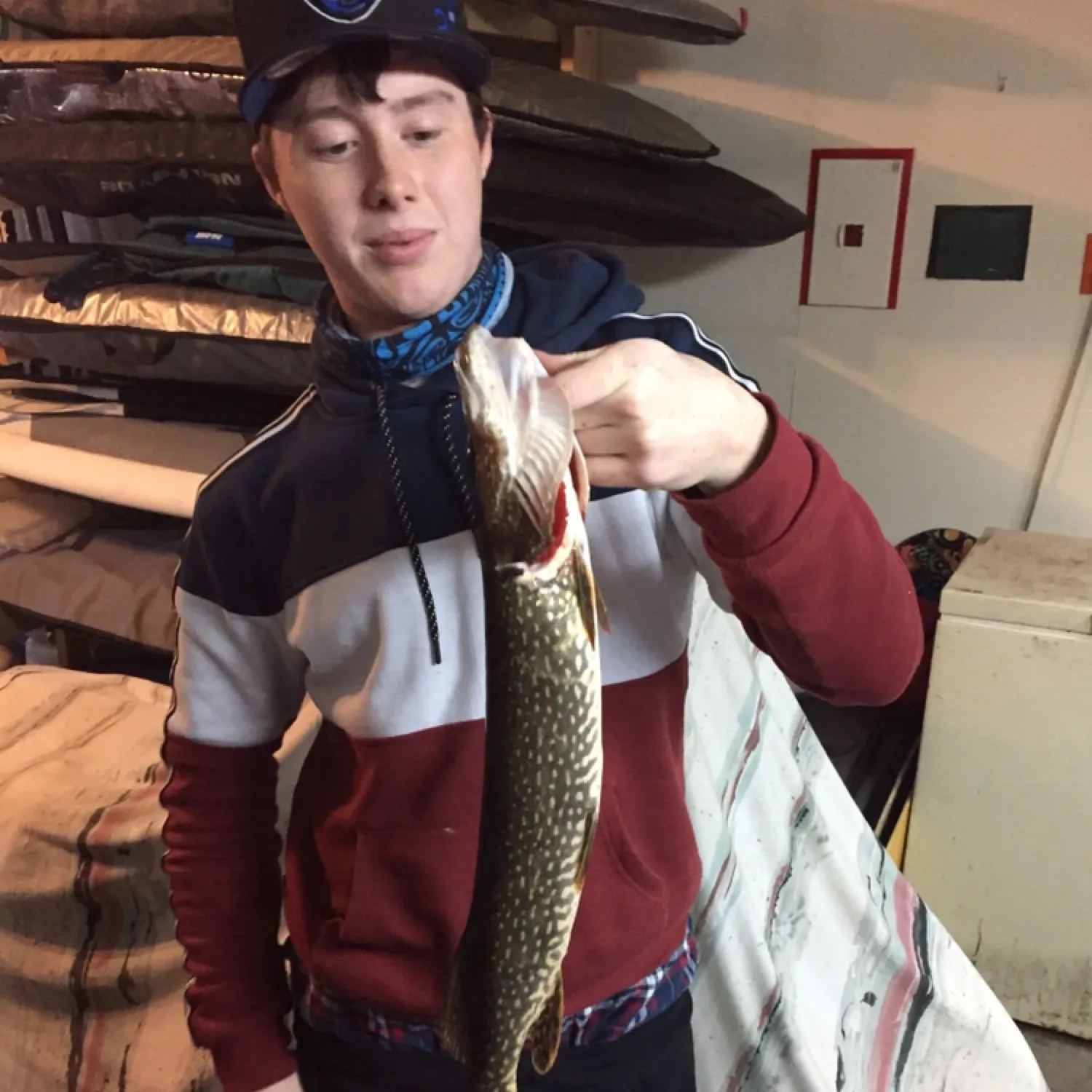 angler catch