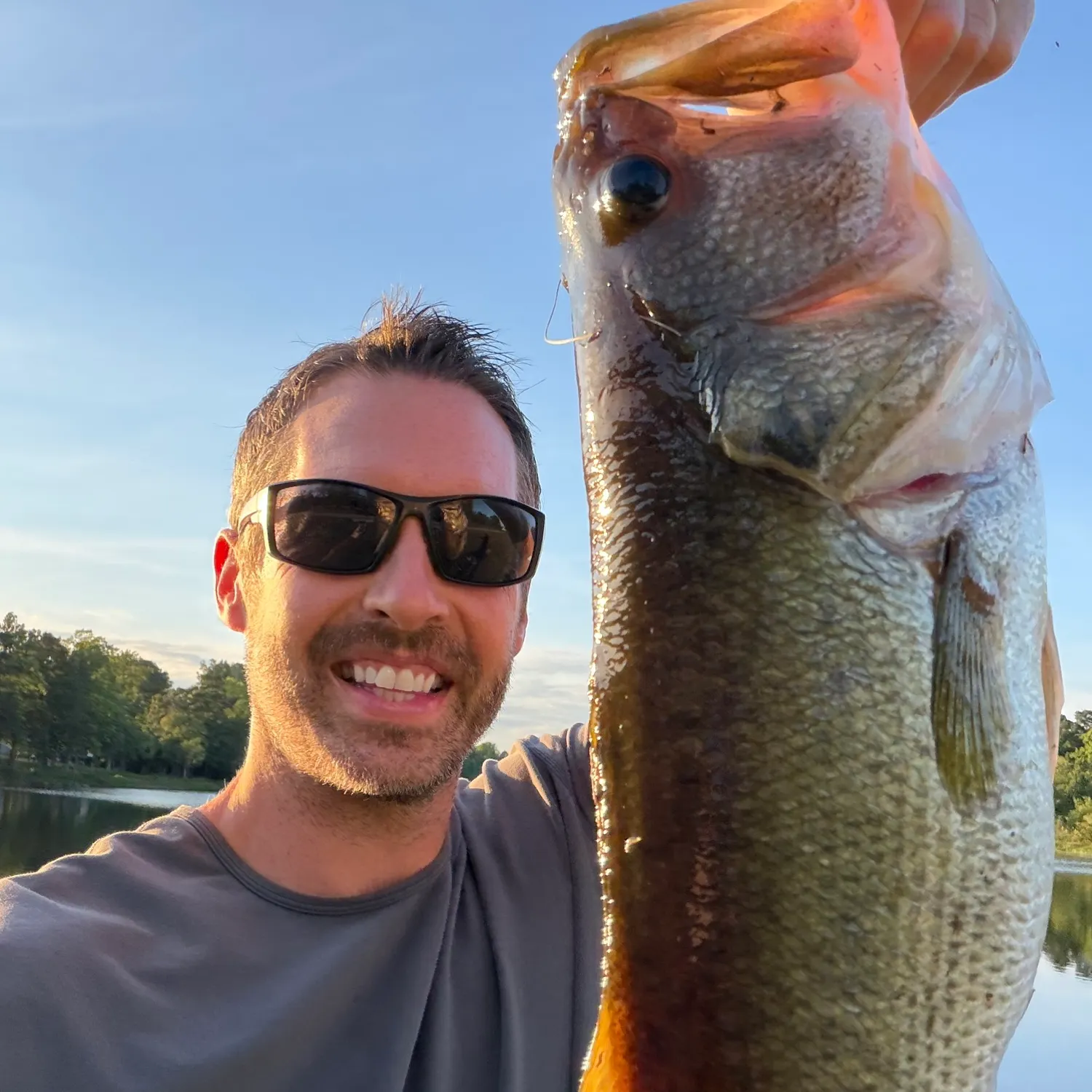 Largemouth bass caught on Fishbrain