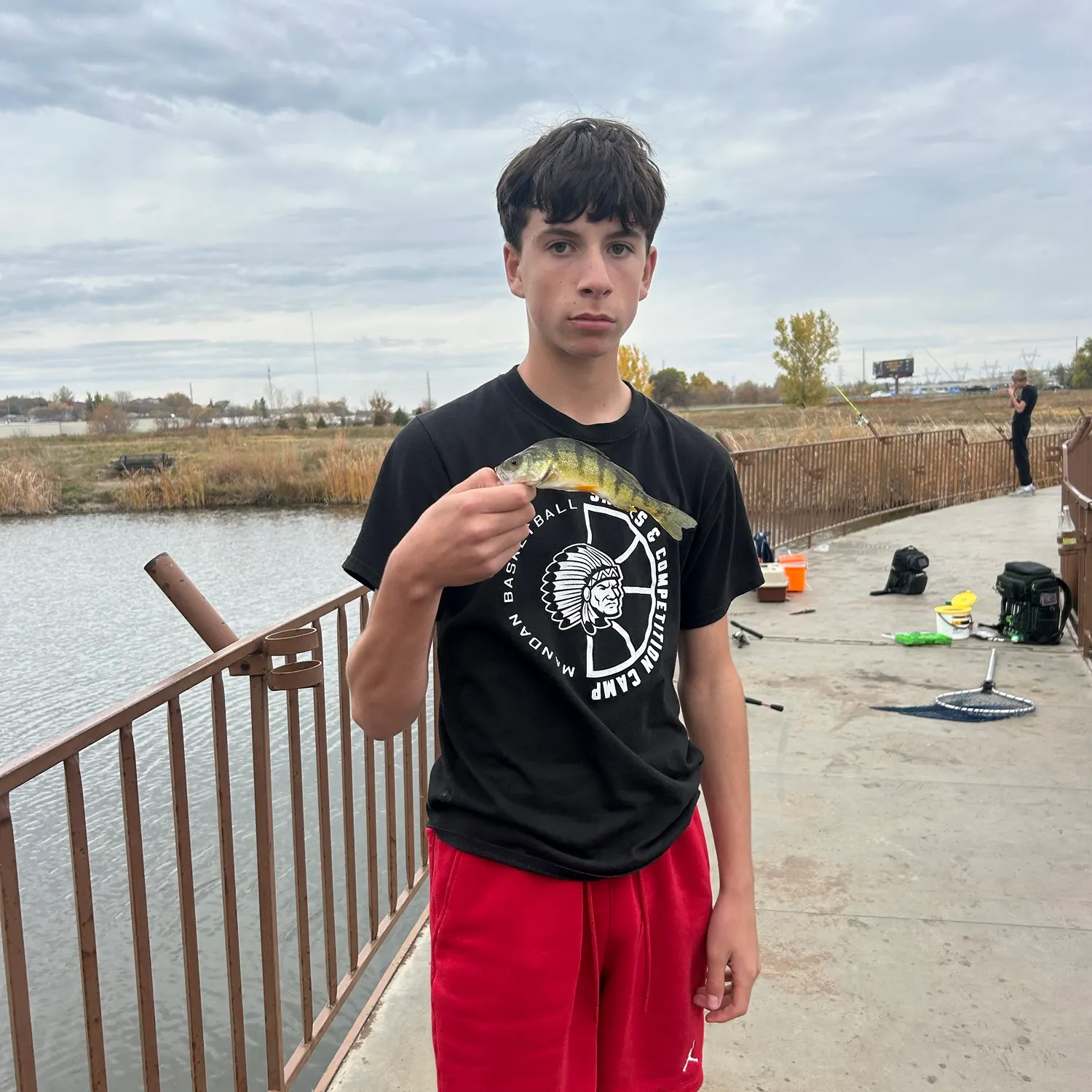 Yellow perch caught on Fishbrain