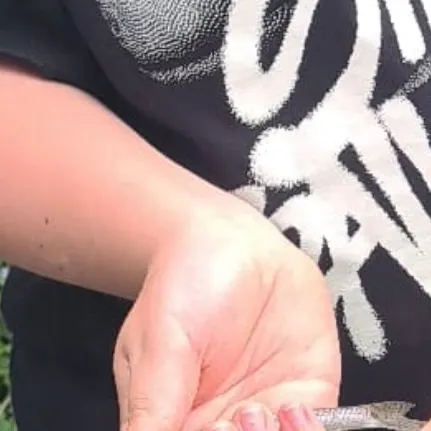 The most recent Gudgeon catches on Fishbrain