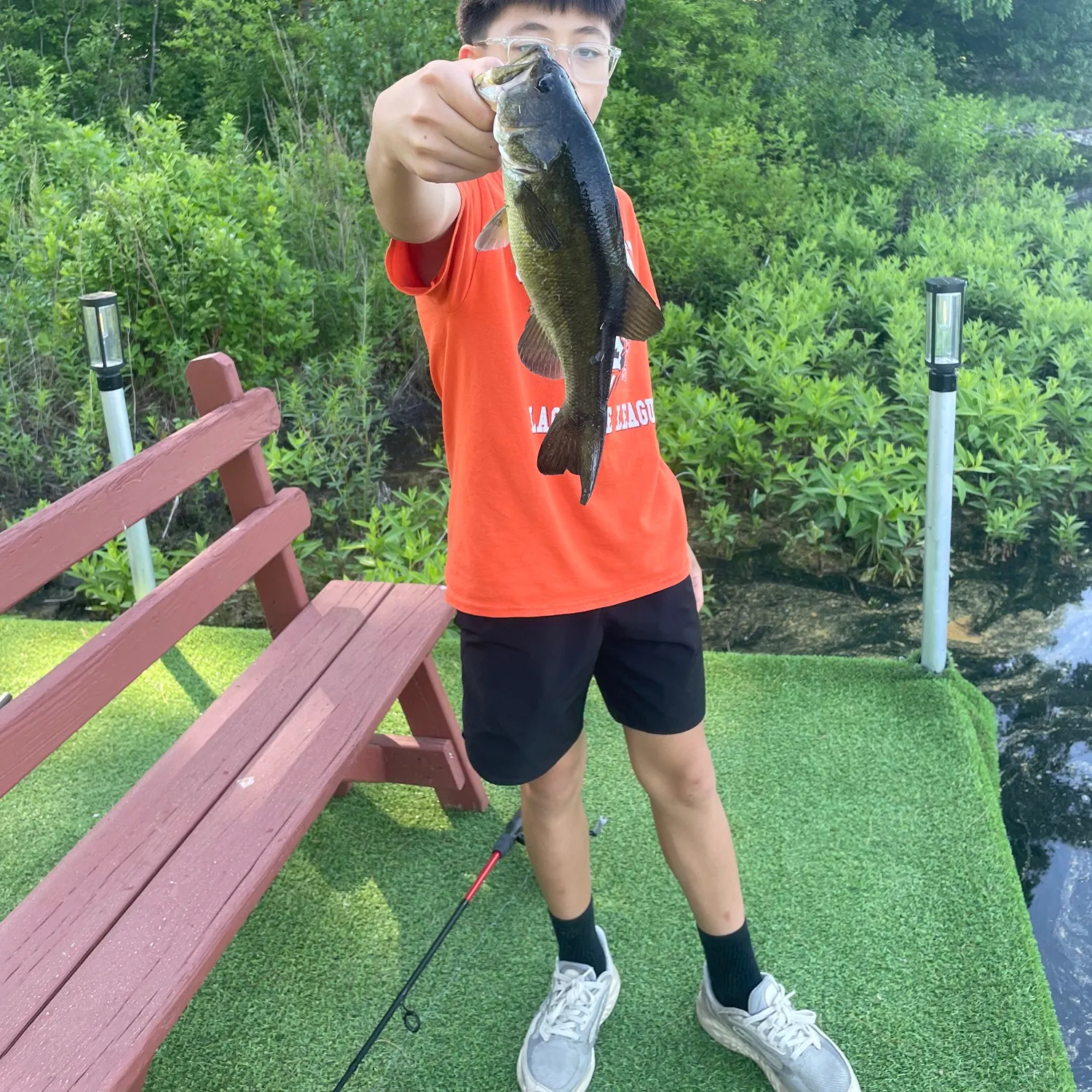 Largemouth bass caught on Fishbrain