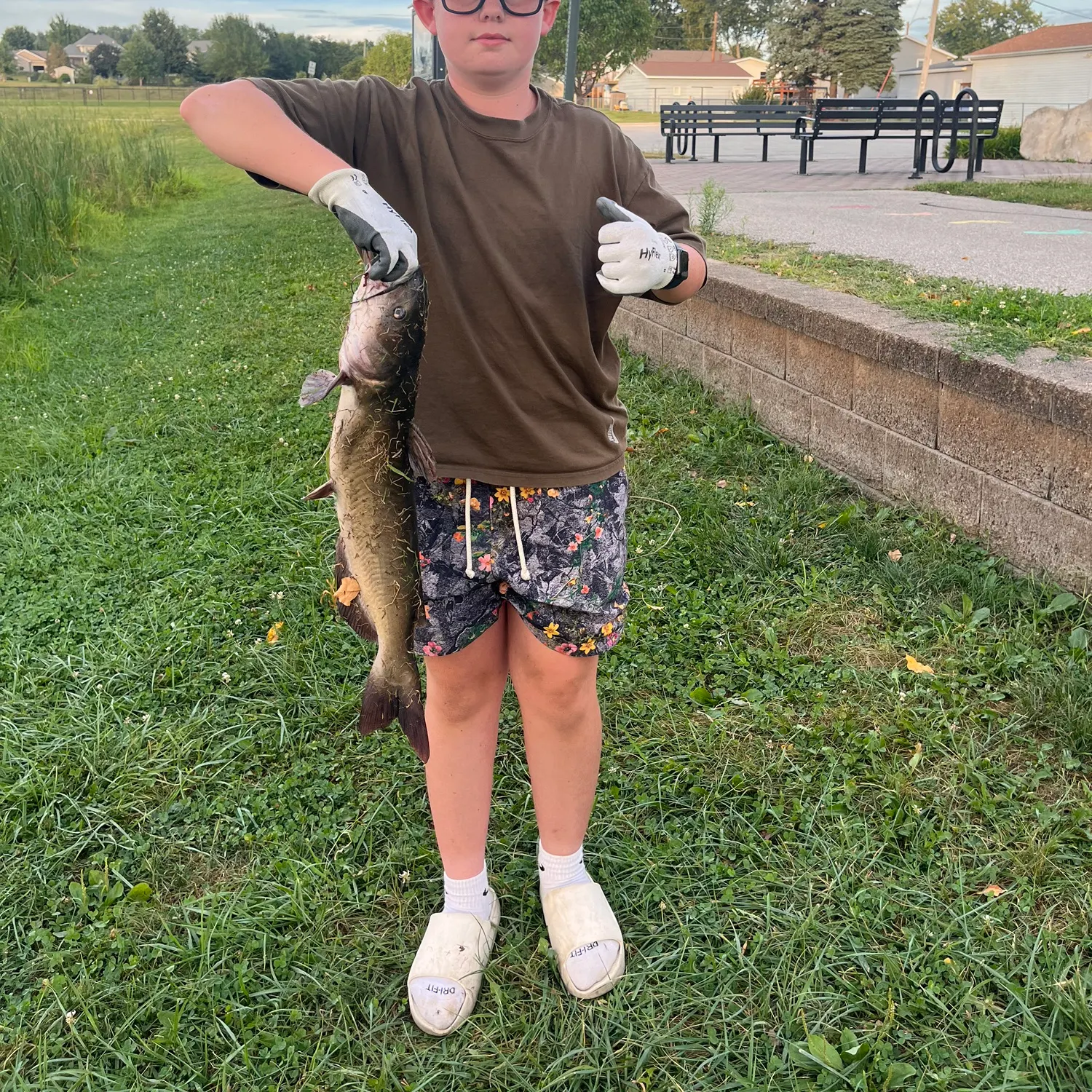 Channel catfish caught on Fishbrain