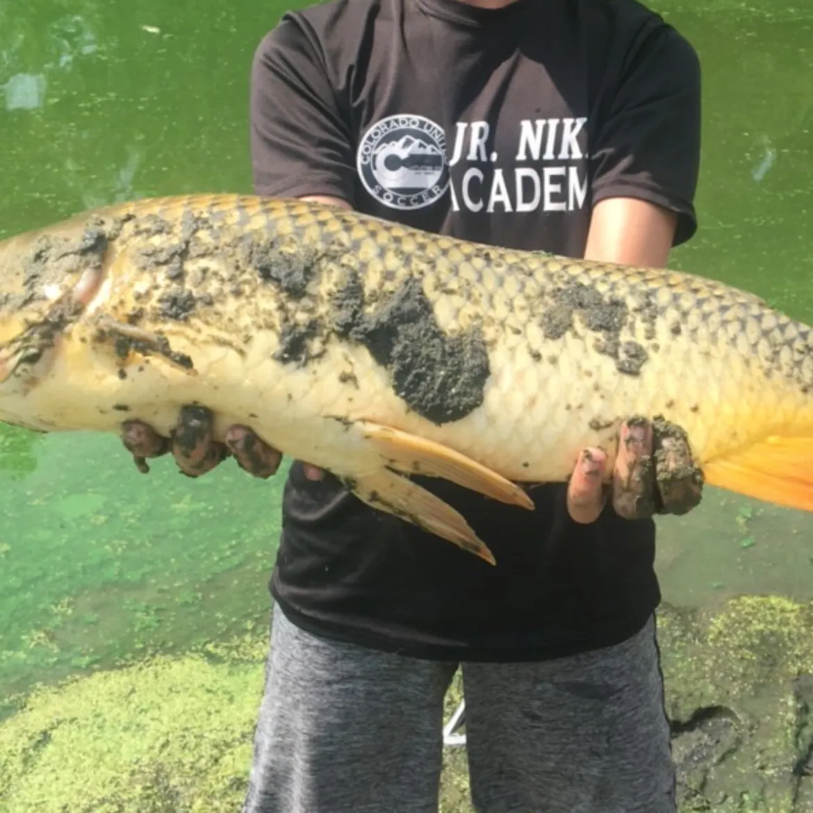 Fish caught on Fishbrain