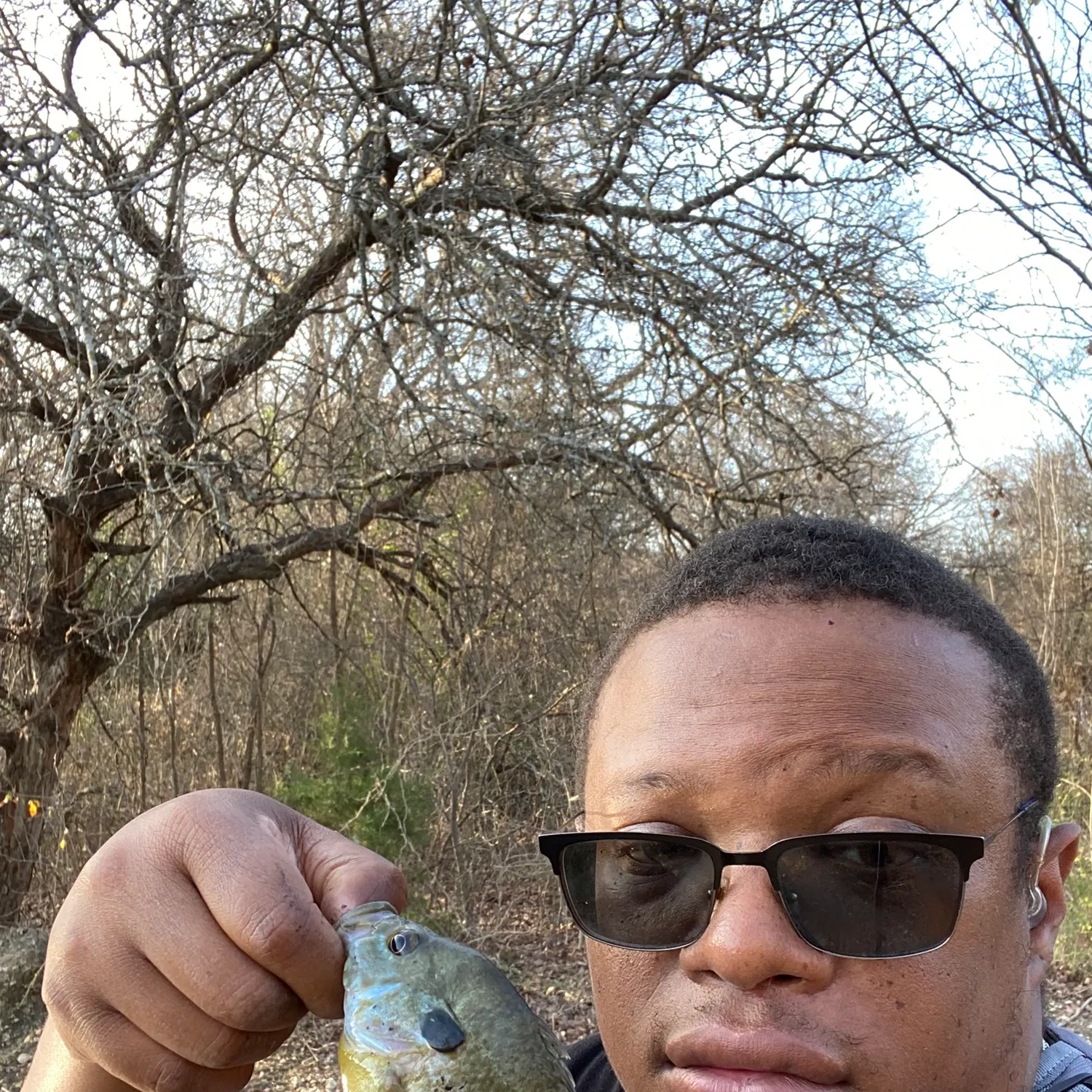 The most recent Greengill hybrid catches on Fishbrain