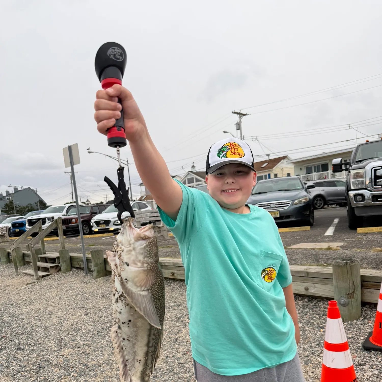 The most recent Northern stargazer catches on Fishbrain
