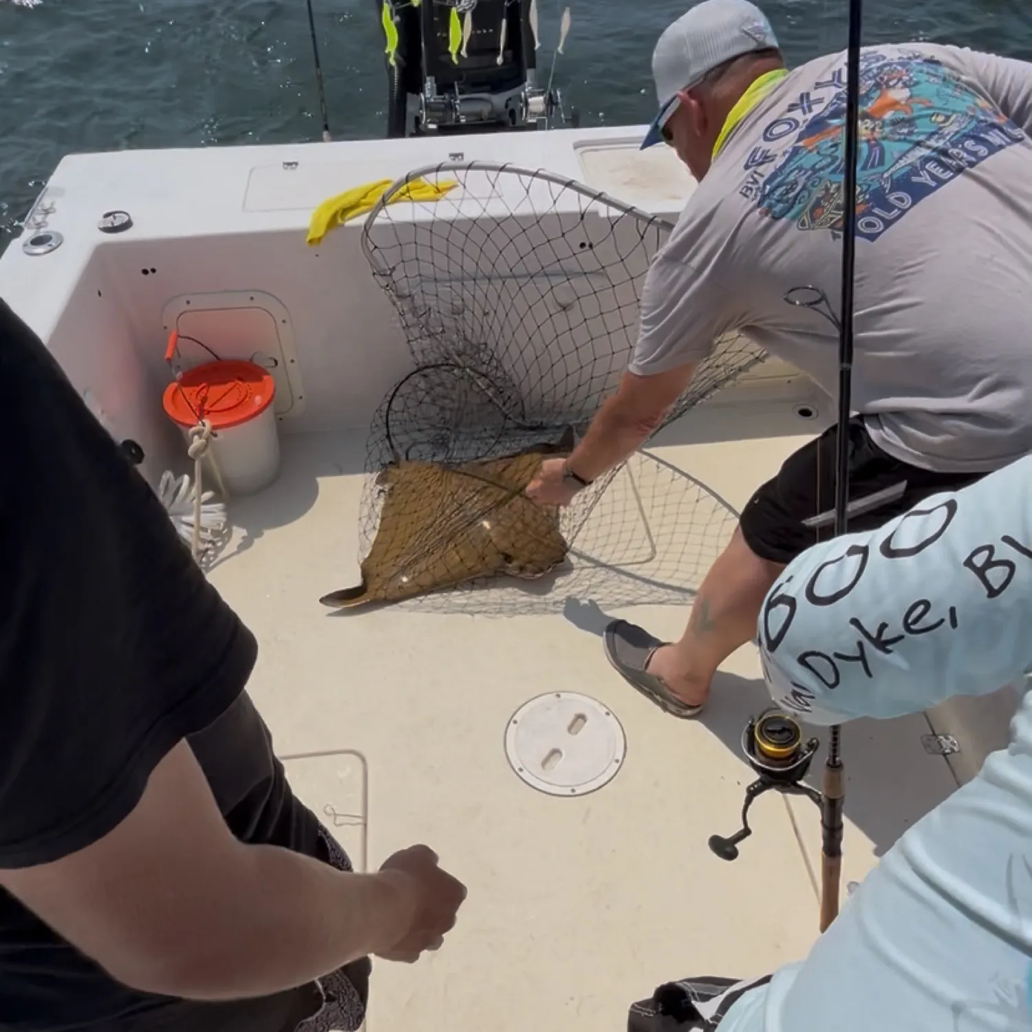 The most recent Southern stingray catches on Fishbrain