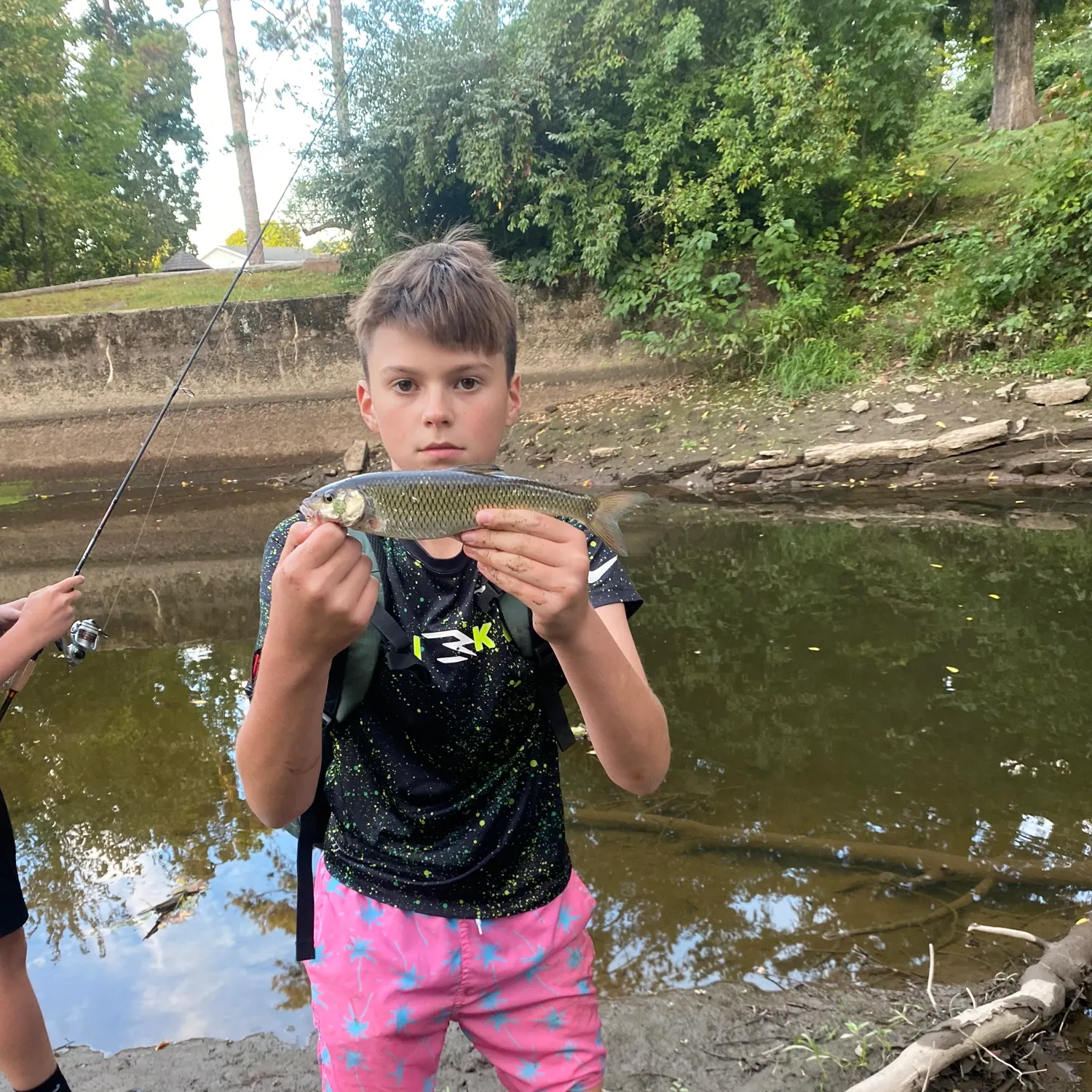 Fallfish caught on Fishbrain
