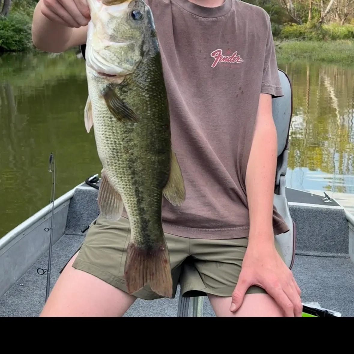 Largemouth bass caught on Fishbrain
