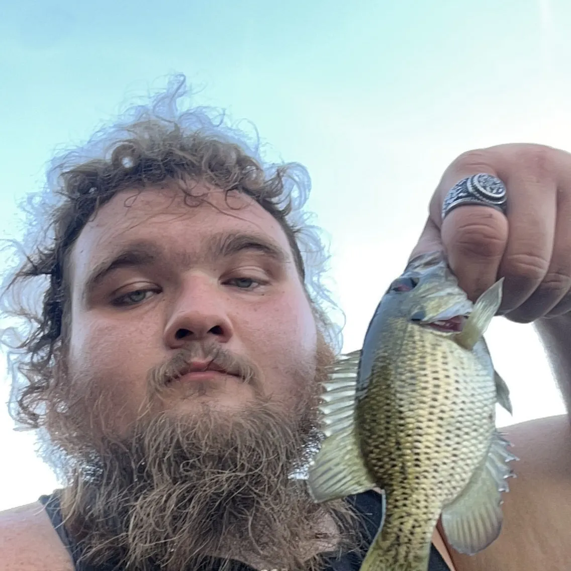 Rock bass caught on Fishbrain
