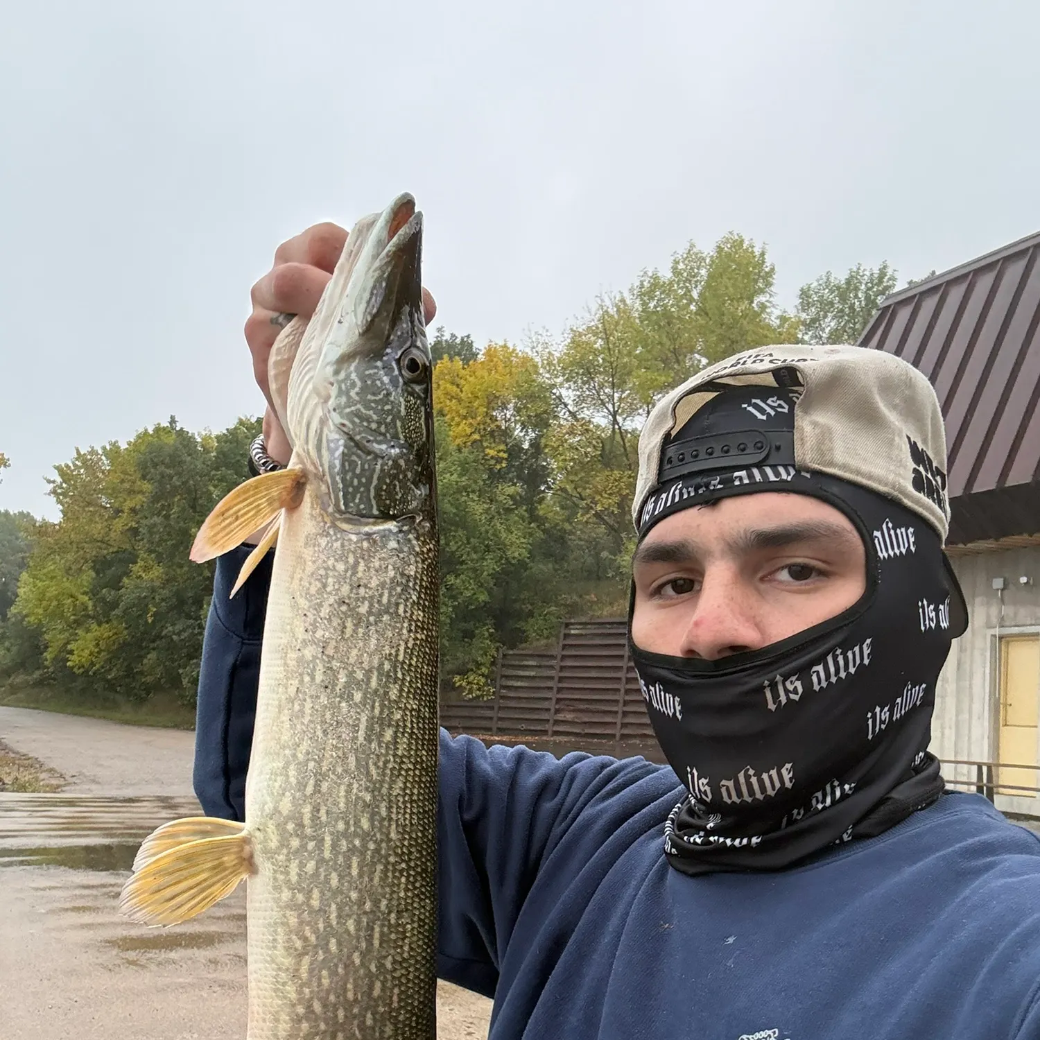 Northern pike caught on Fishbrain