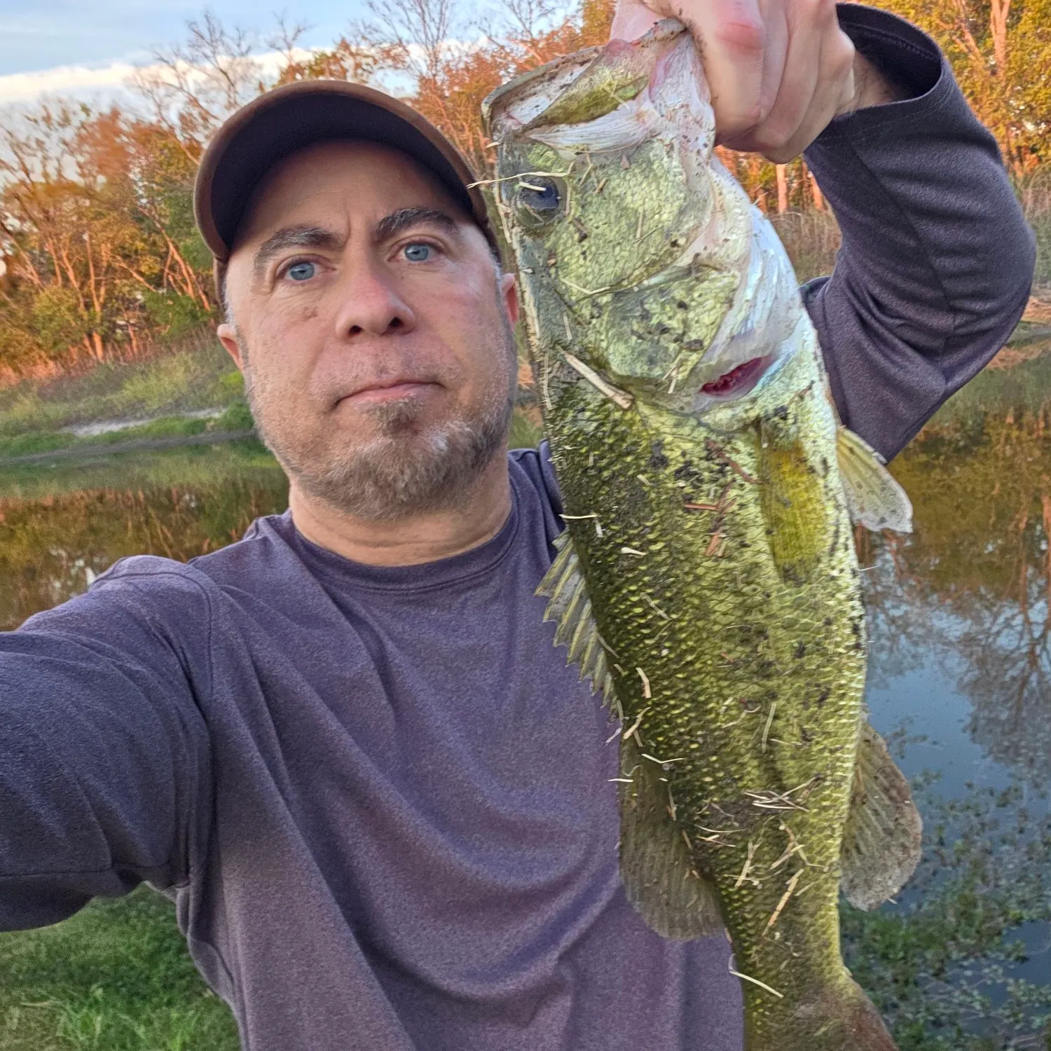 Largemouth bass caught on Fishbrain