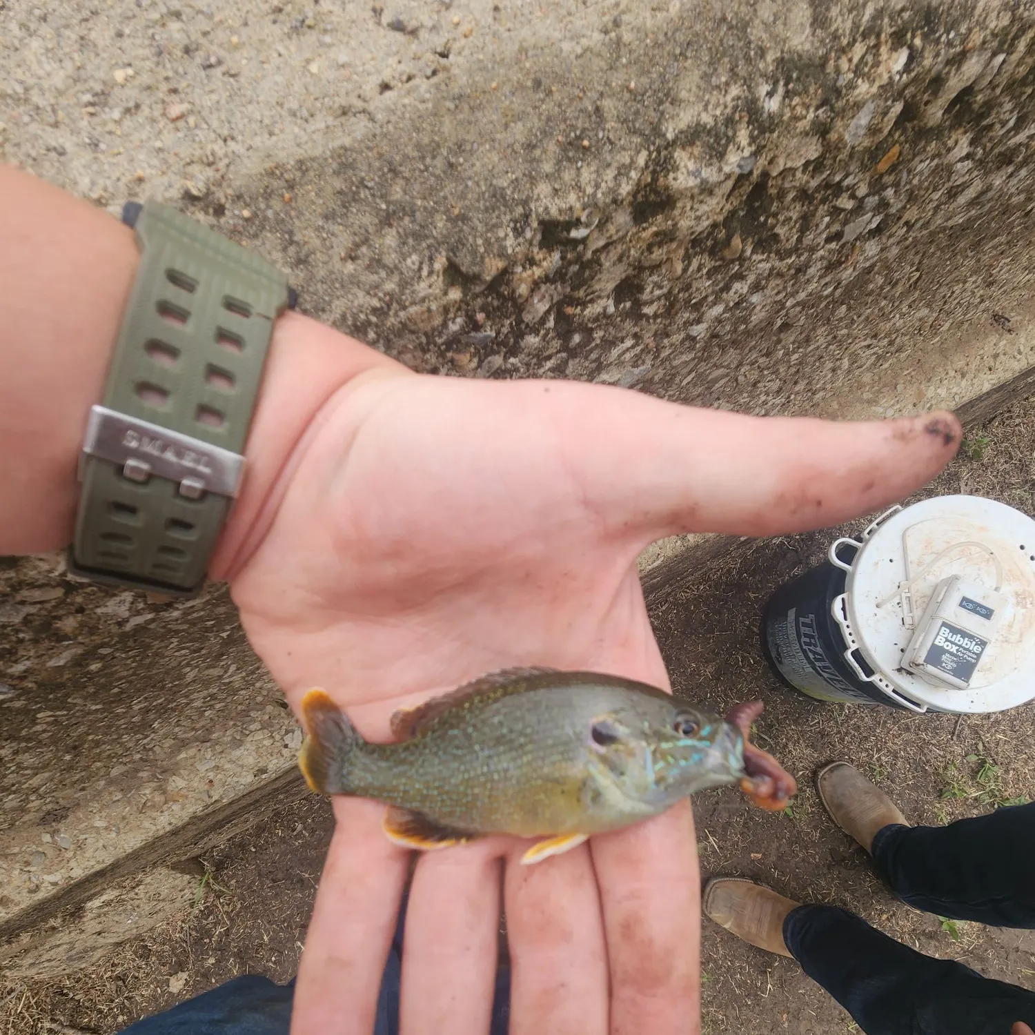 catch