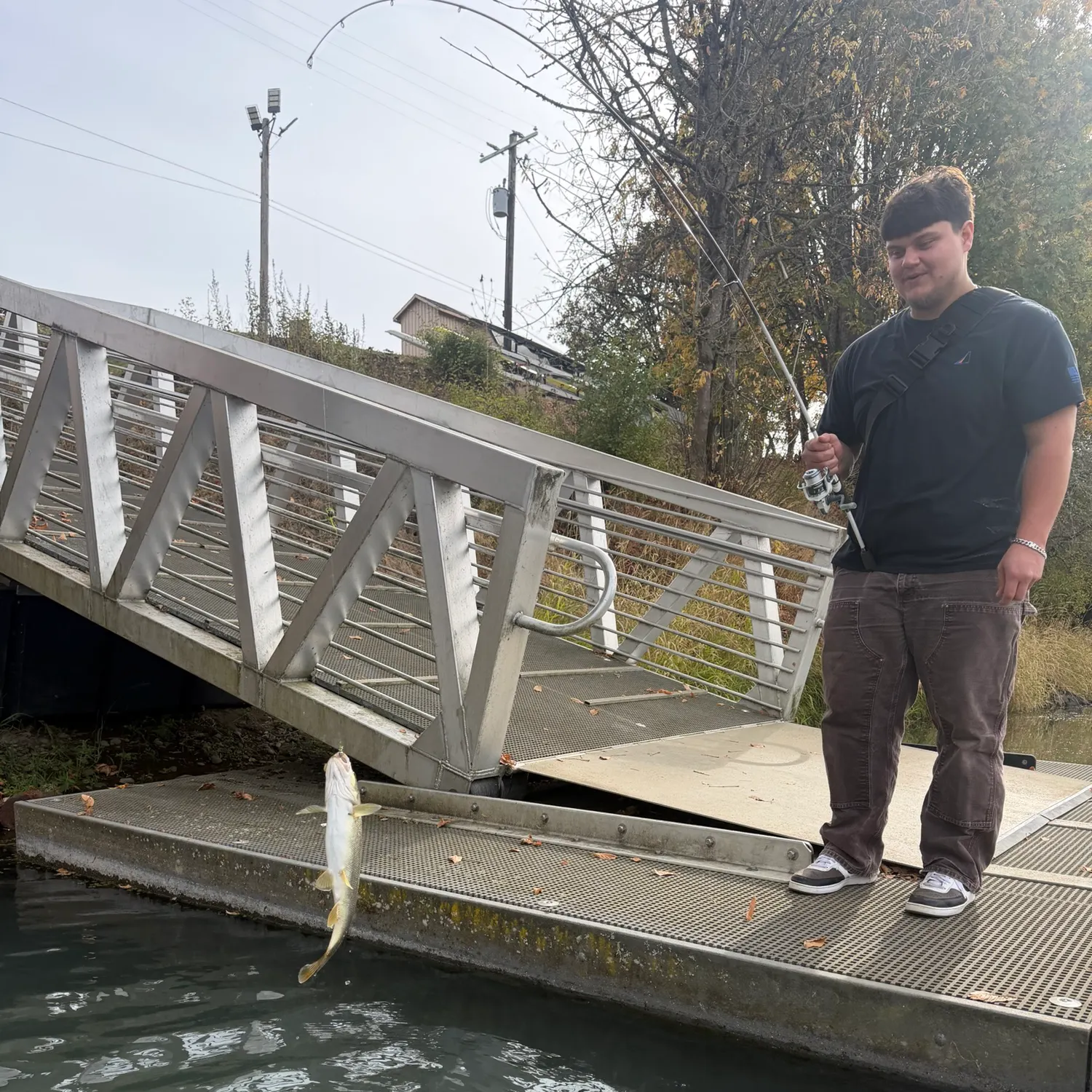 The most recent Northern pikeminnow catches on Fishbrain