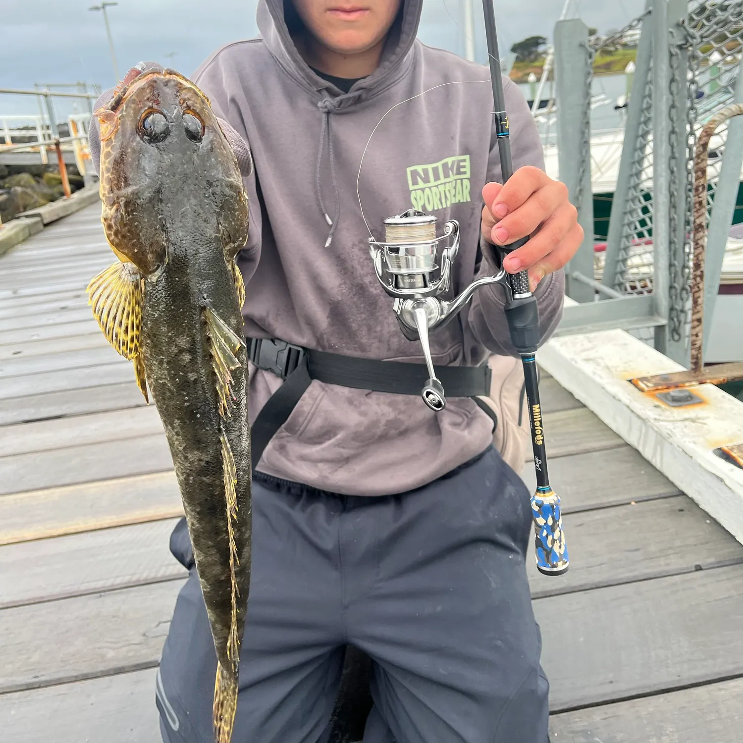 The most recent Rock flathead catches on Fishbrain