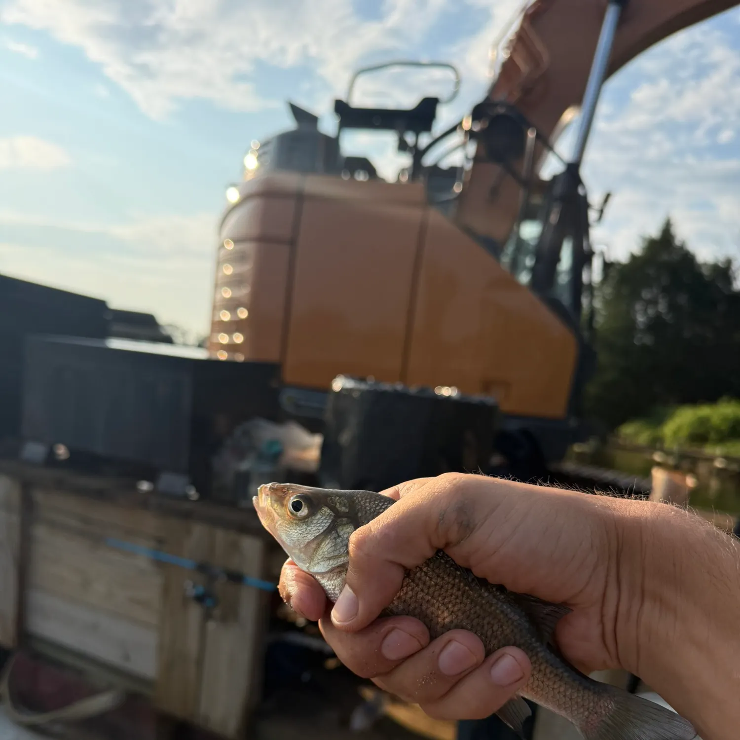catch