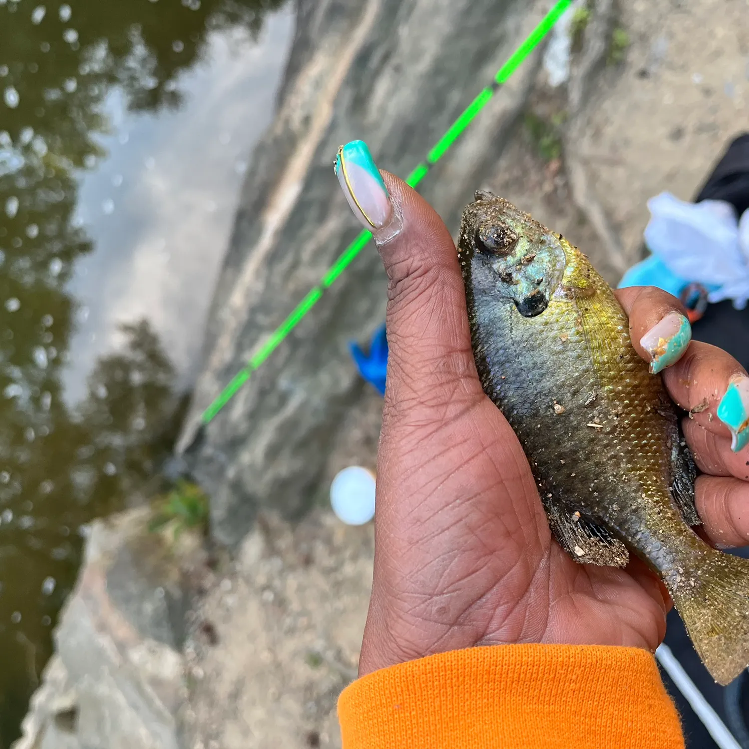 catch