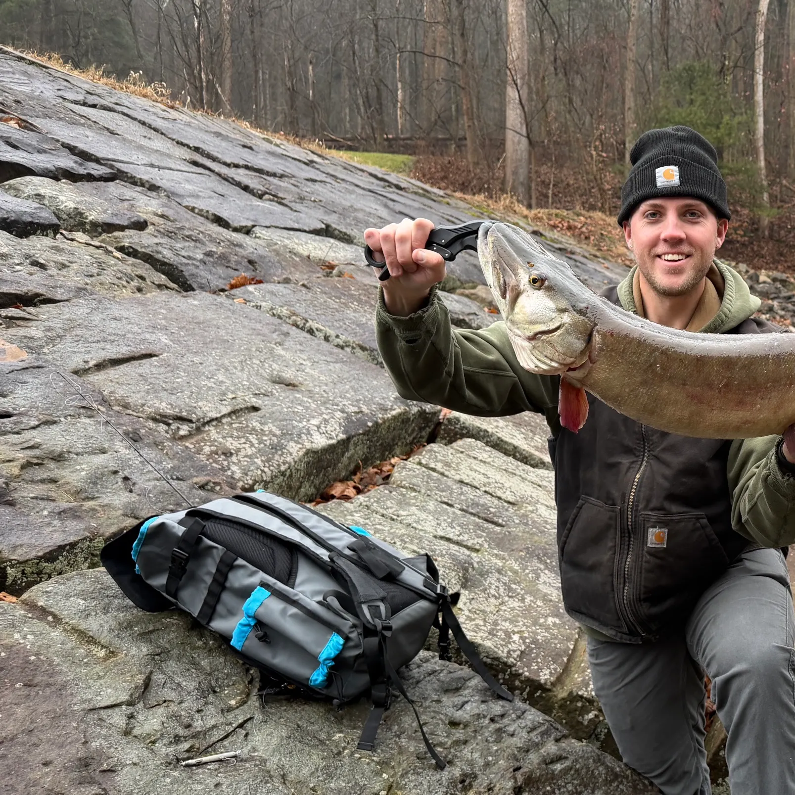 The most recent Muskellunge catches on Fishbrain