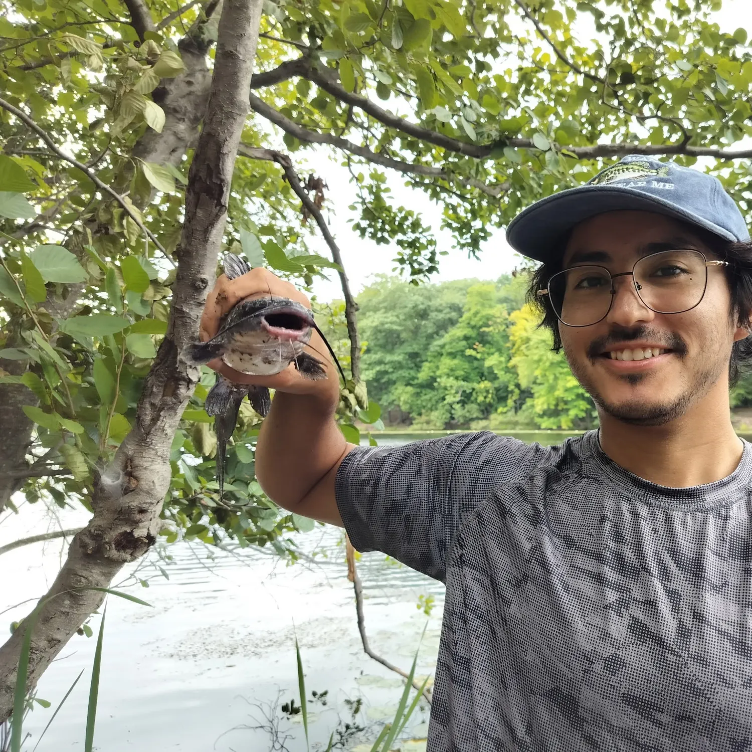 Channel catfish caught on Fishbrain