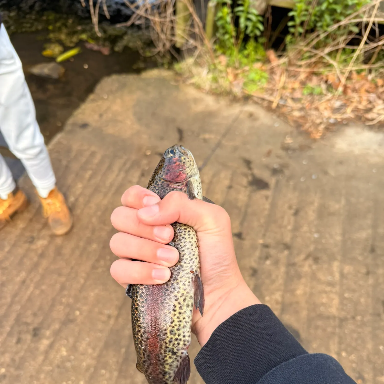 catch