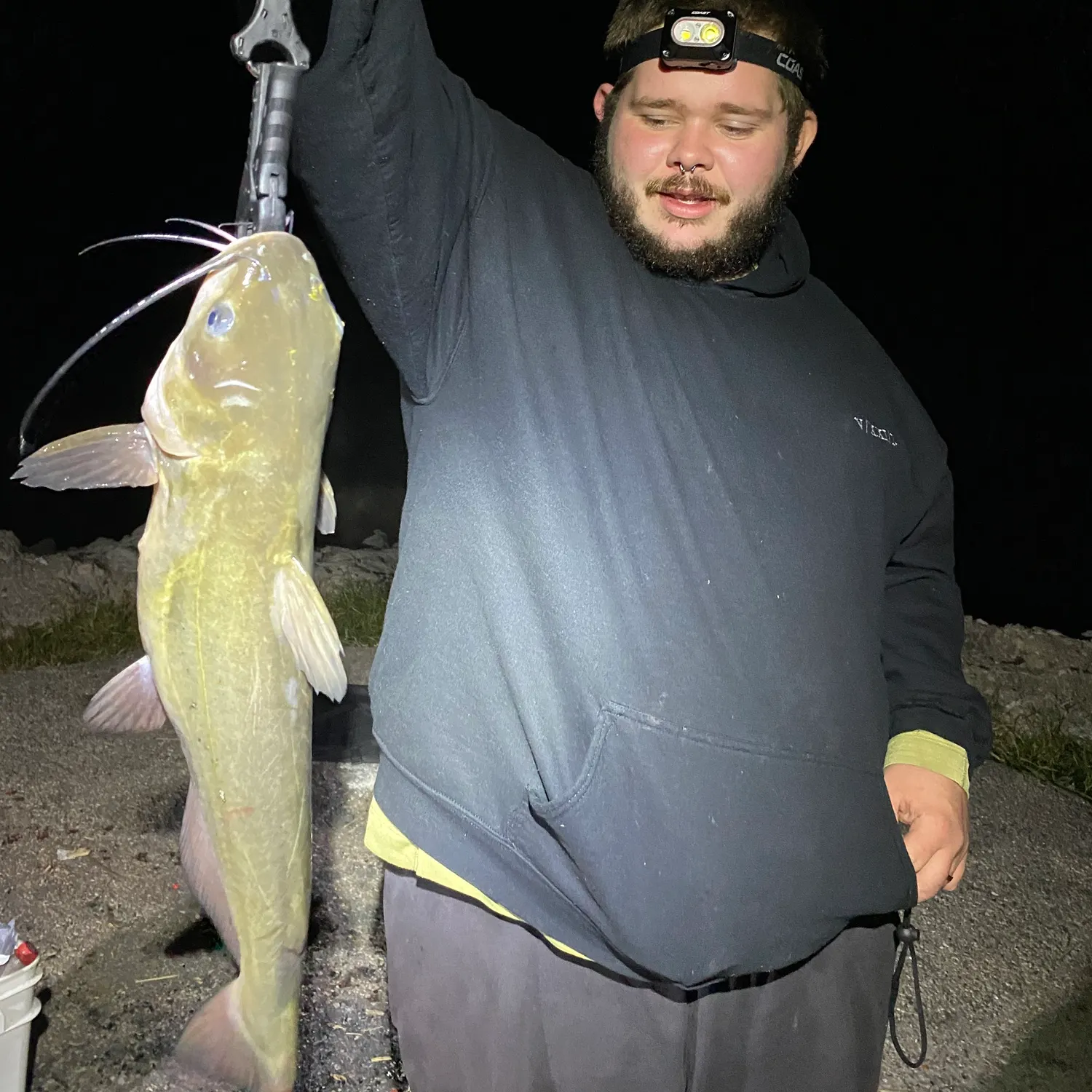 Channel catfish caught on Fishbrain