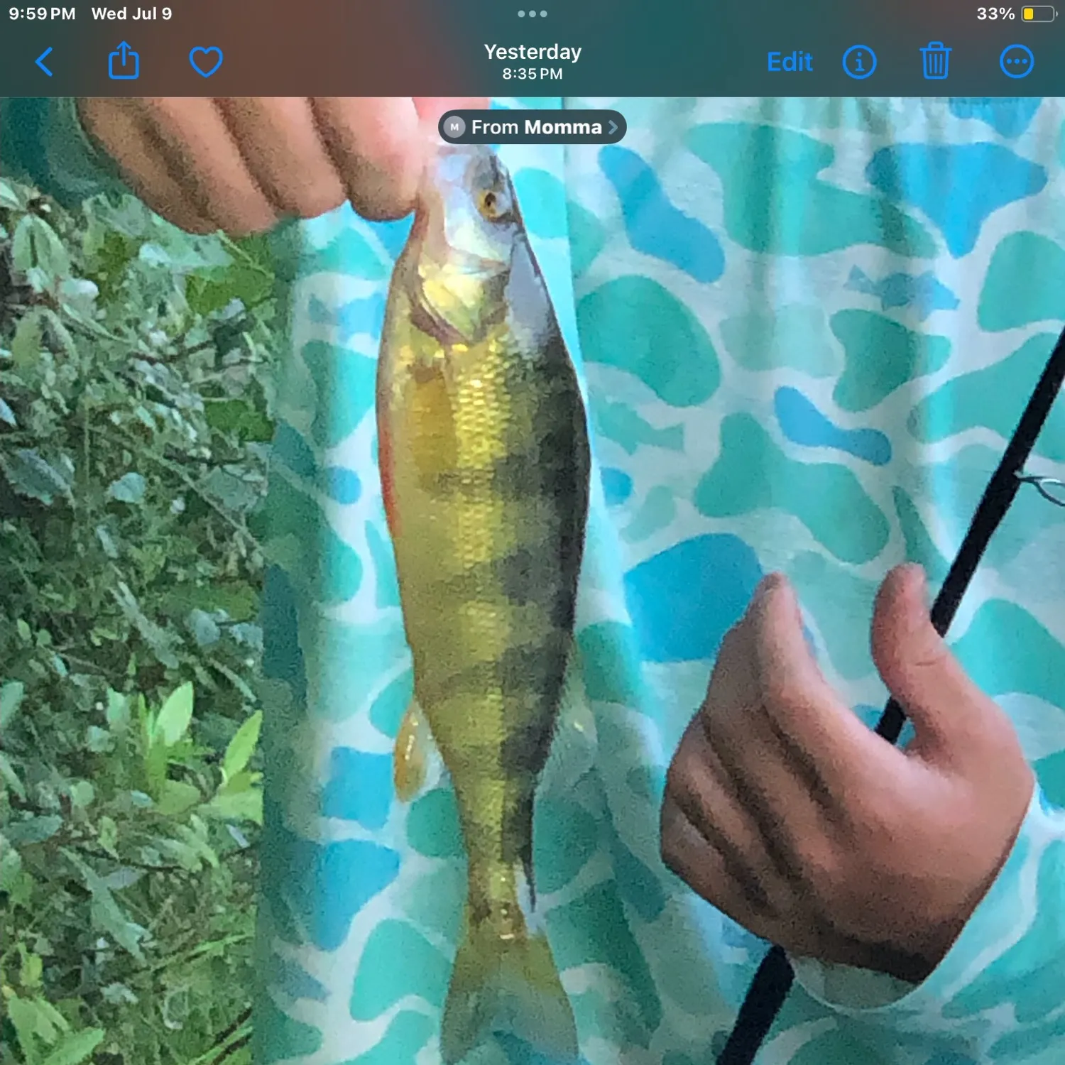 recently logged catches