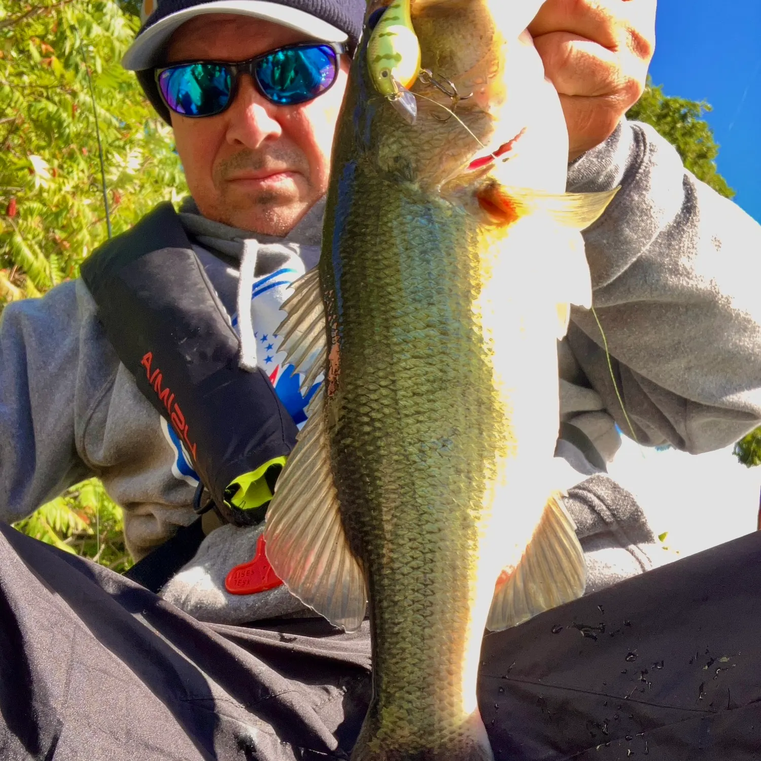 Largemouth bass caught on Fishbrain