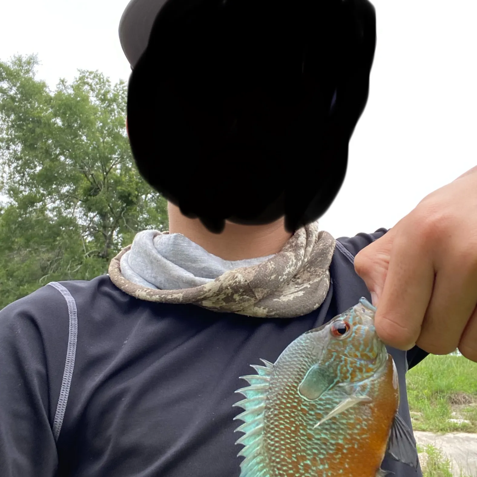 most liked catch image
