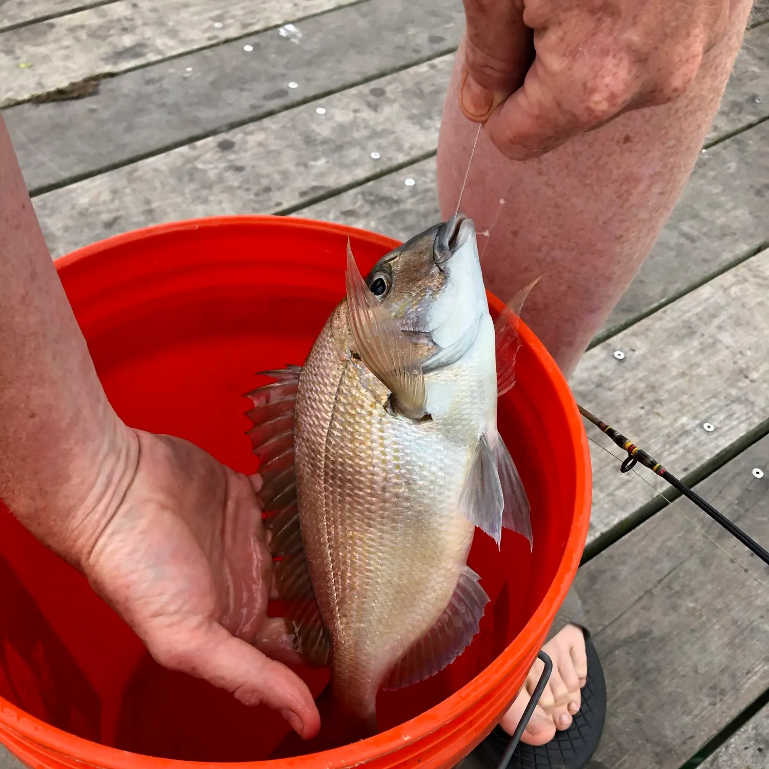 catch