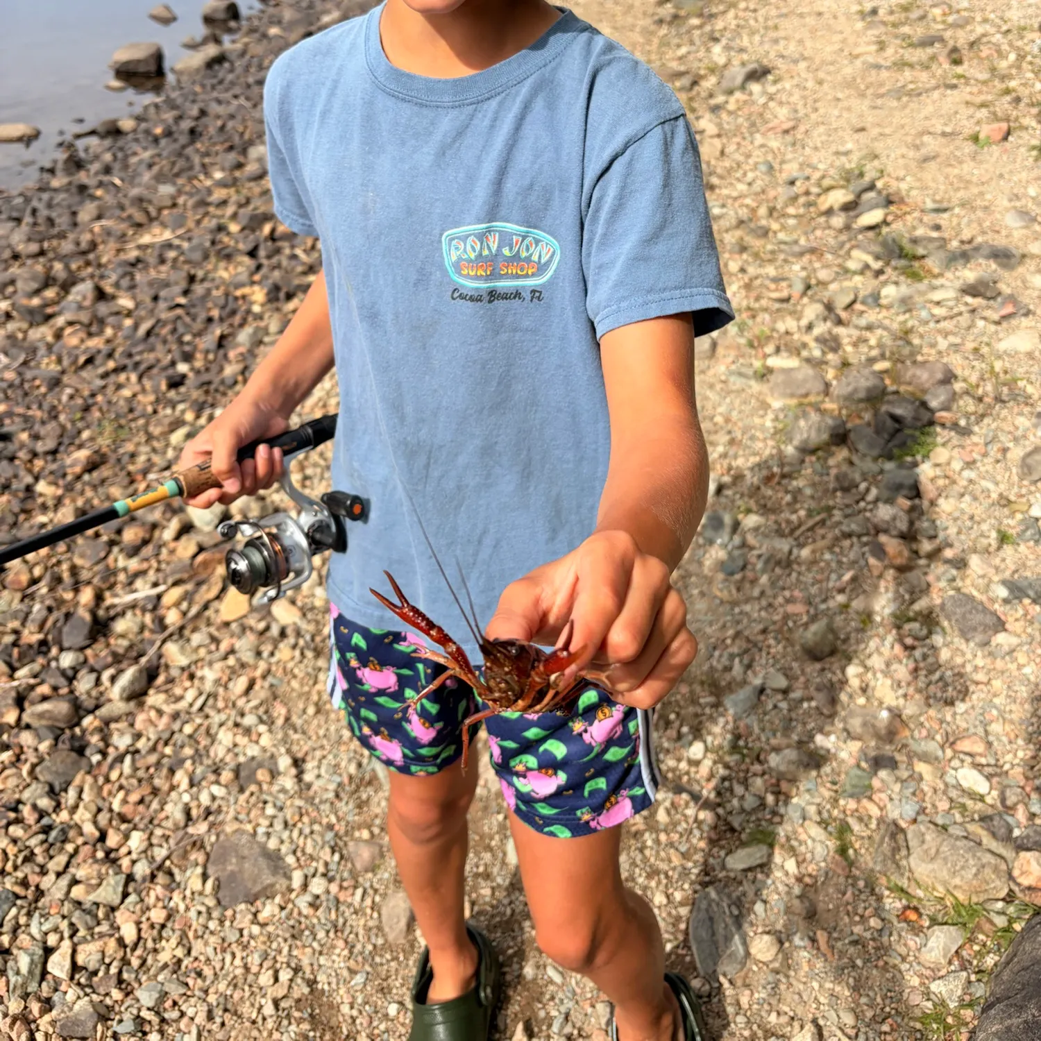 Red swamp crayfish caught on Fishbrain