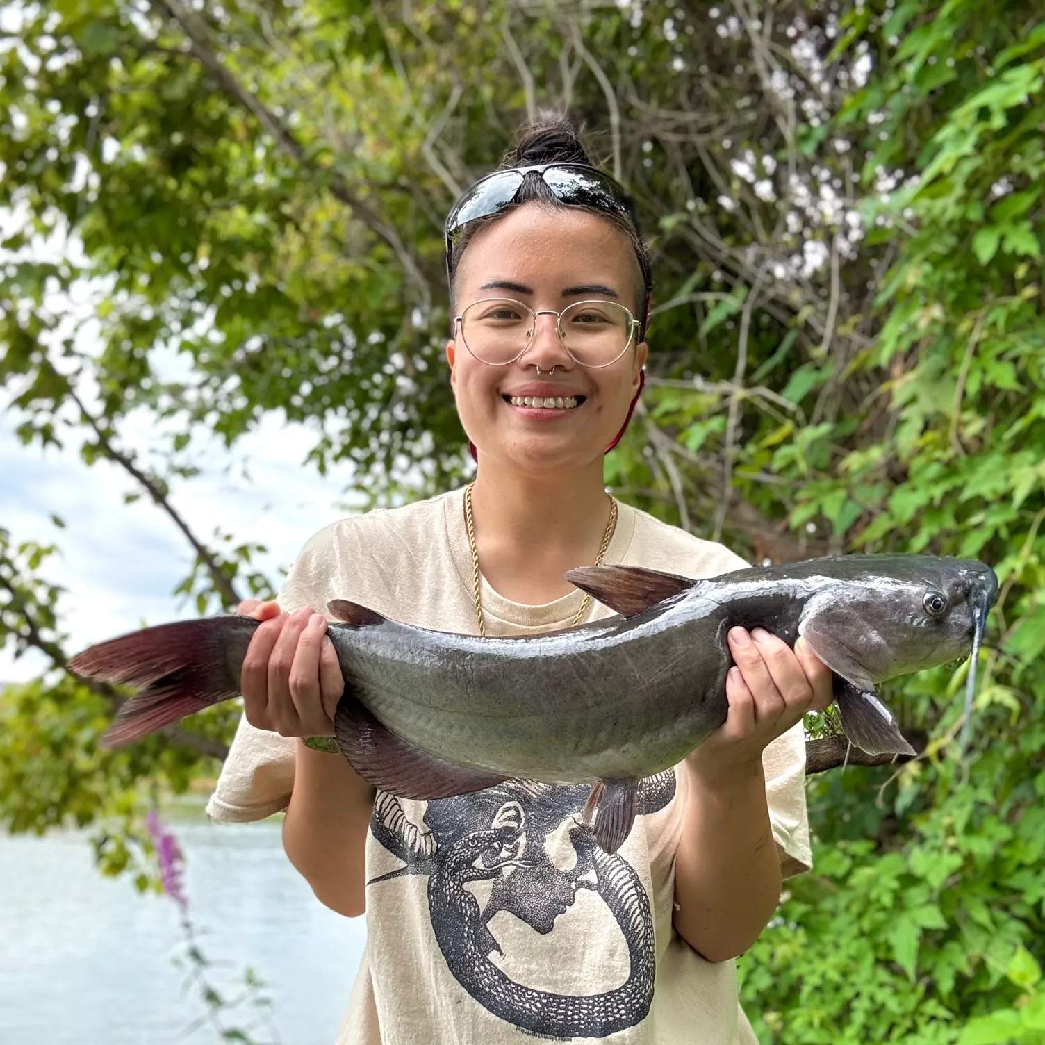 Channel catfish caught on Fishbrain