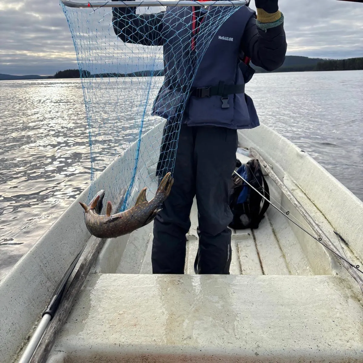 Northern pike caught on Fishbrain