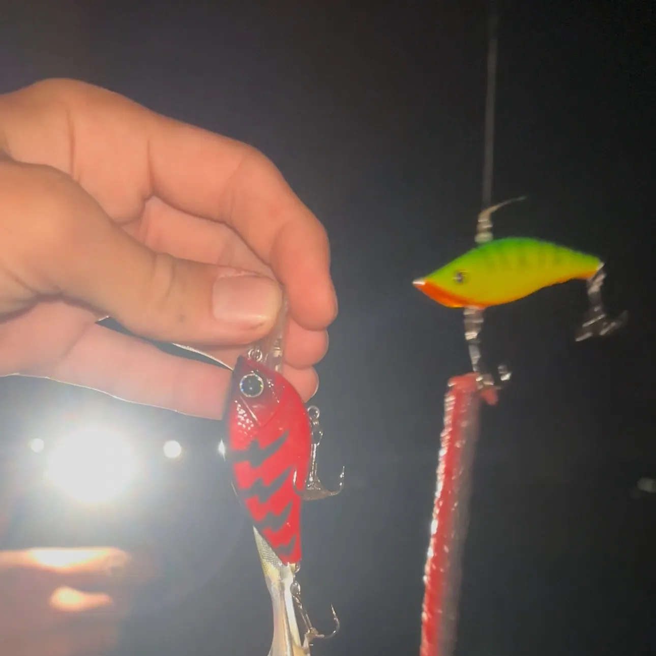 The most recent Mississippi silverside catches on Fishbrain