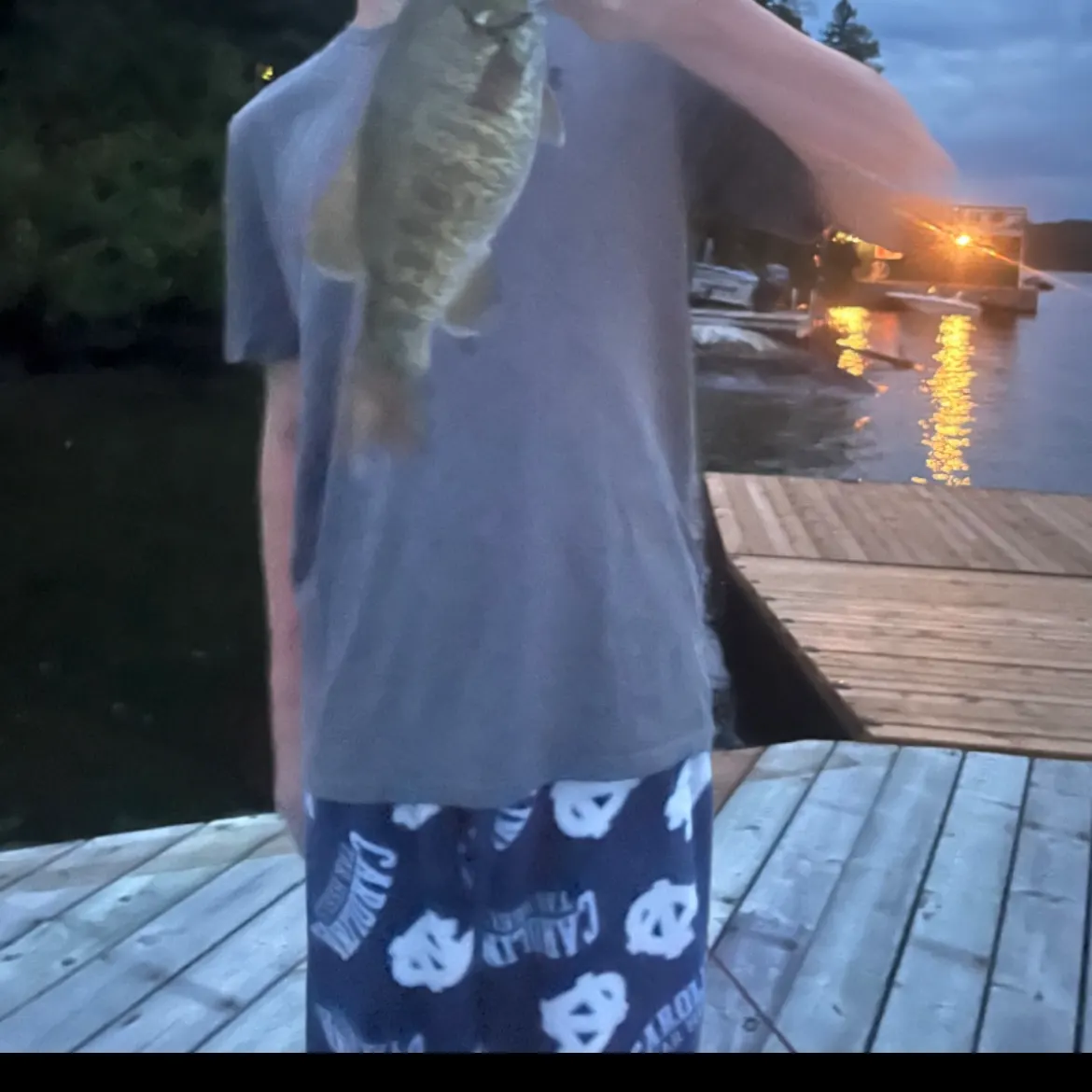 Smallmouth bass caught on Fishbrain