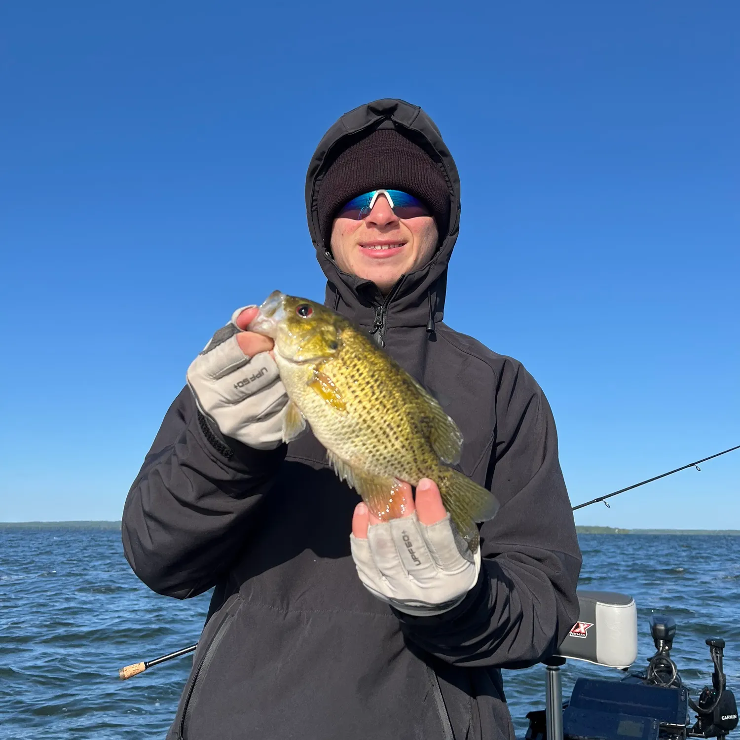 Rock bass caught on Fishbrain