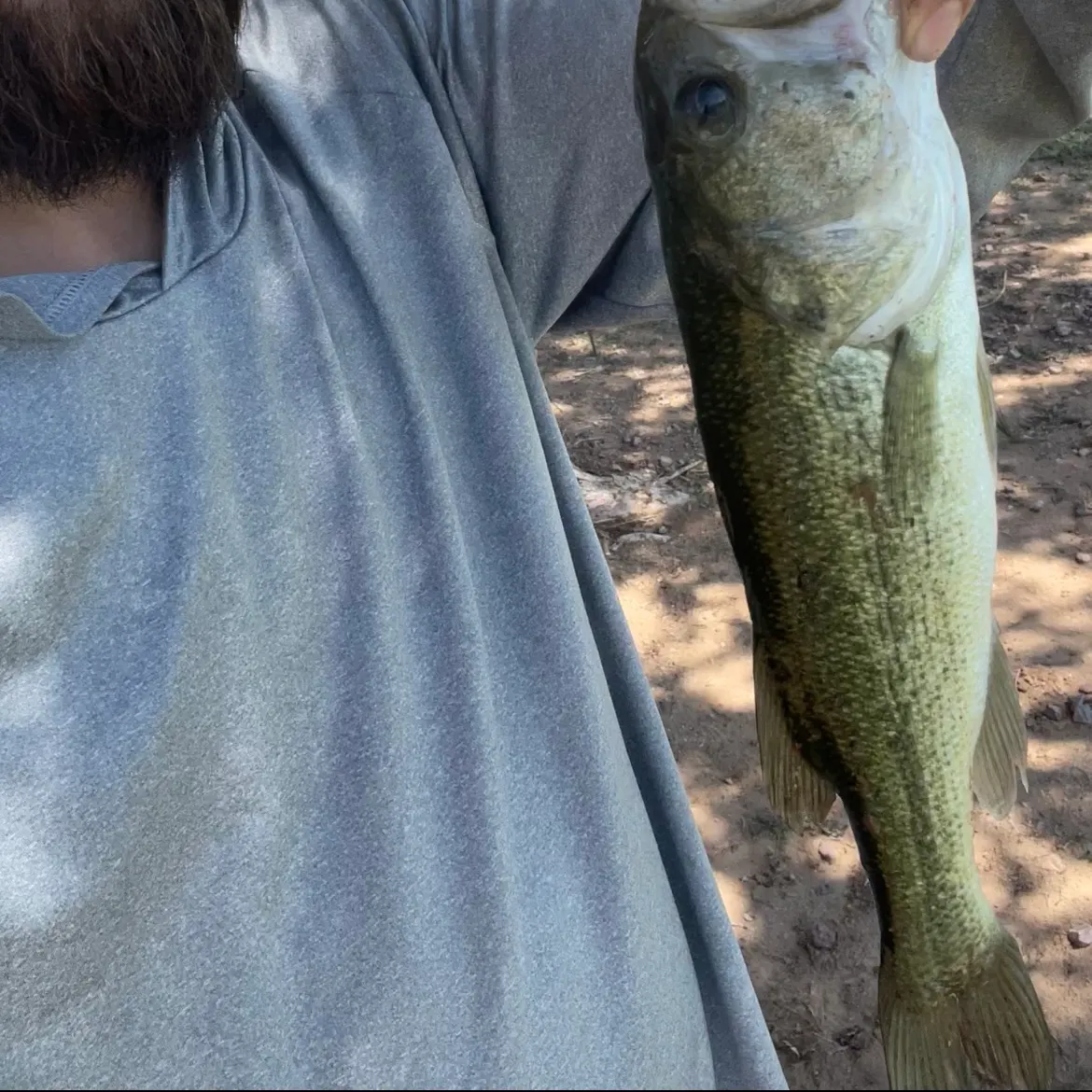Fish caught on Fishbrain