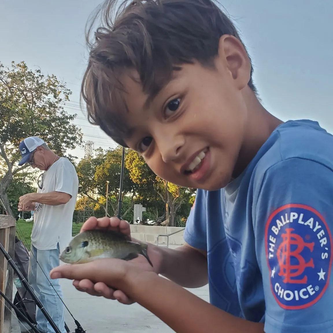 Bluegill caught on Fishbrain
