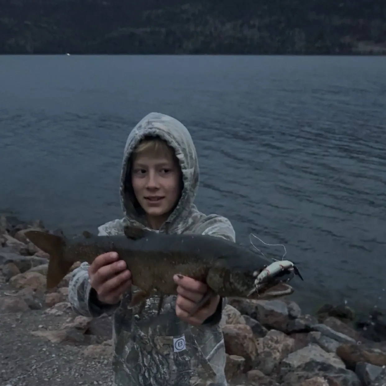 The most recent Splake catches on Fishbrain