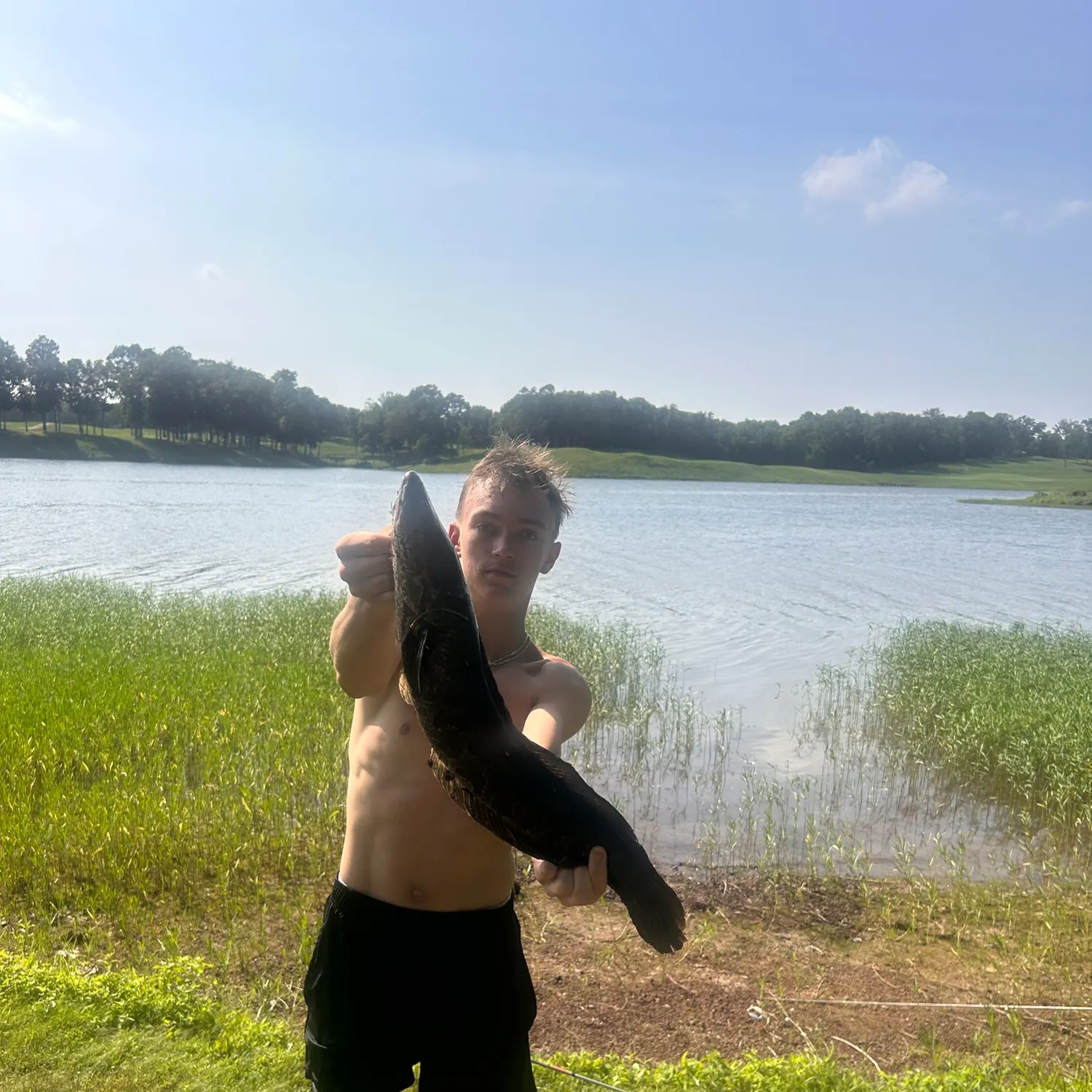 The most recent Northern snakehead catches on Fishbrain