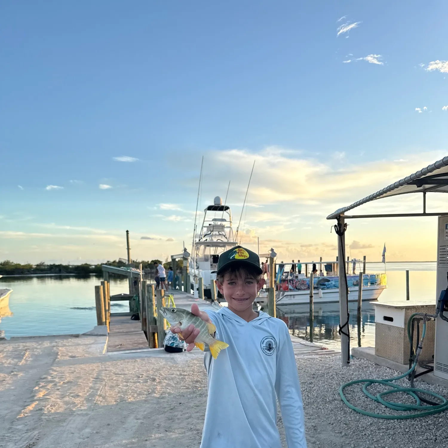 The most recent Dog Snapper catches on Fishbrain