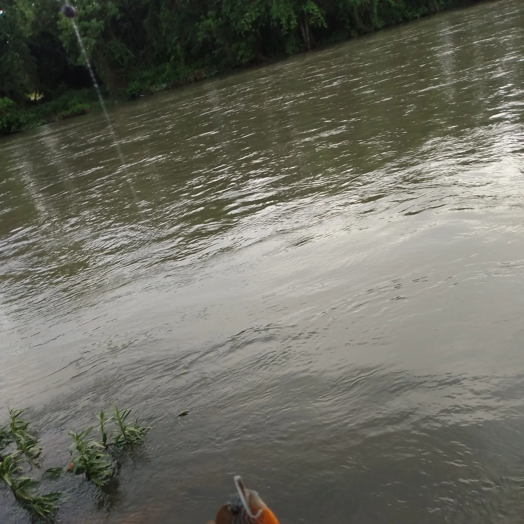 most liked catch image