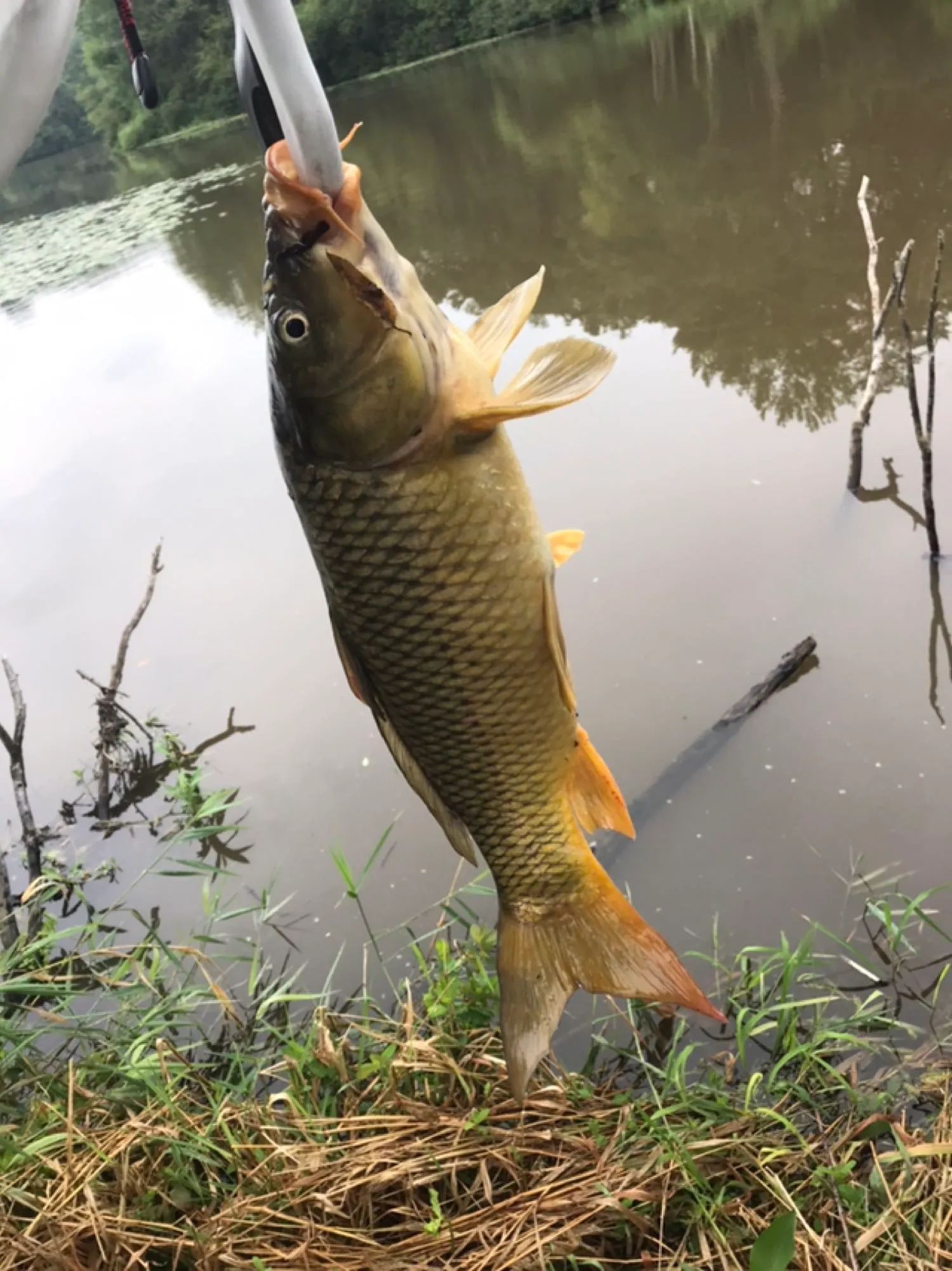 Post image from matt.andrews