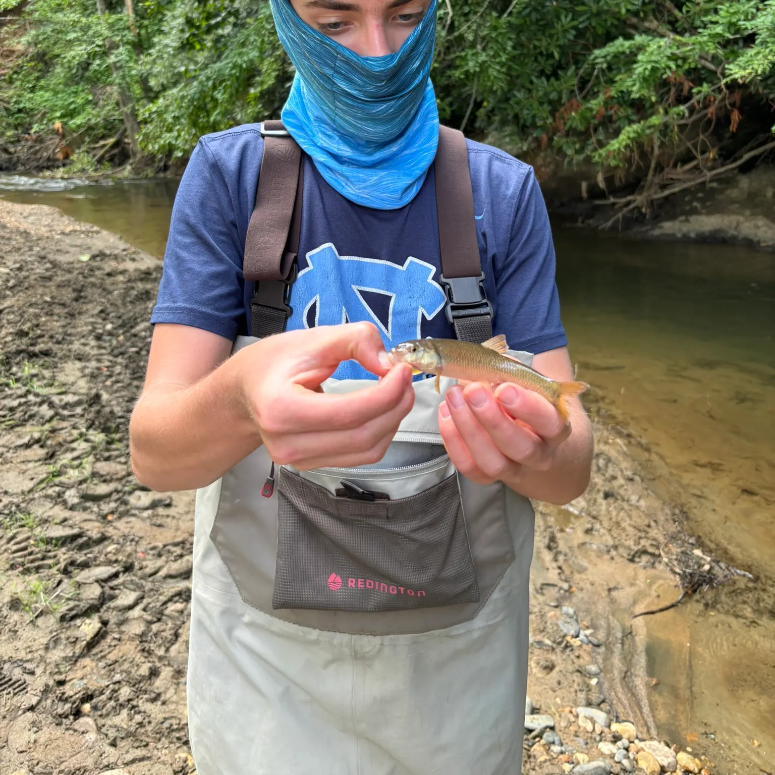 The most recent Golden redhorse catches on Fishbrain