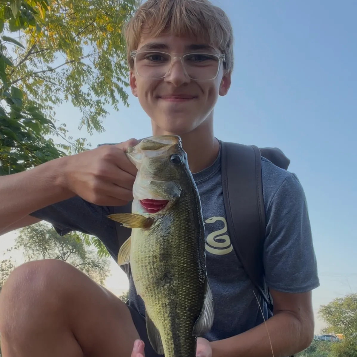 Largemouth bass caught on Fishbrain