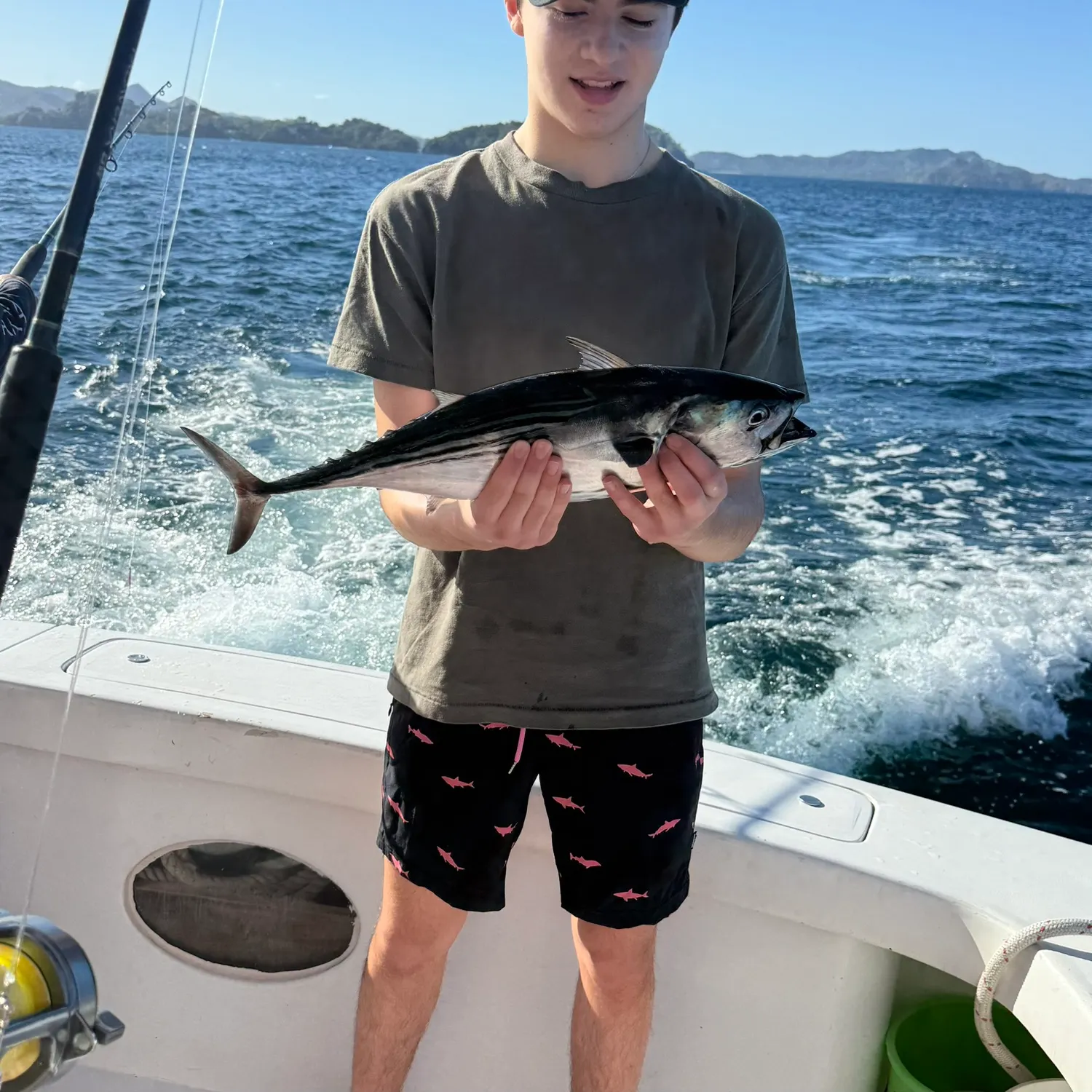 The most recent Eastern Pacific bonito catches on Fishbrain