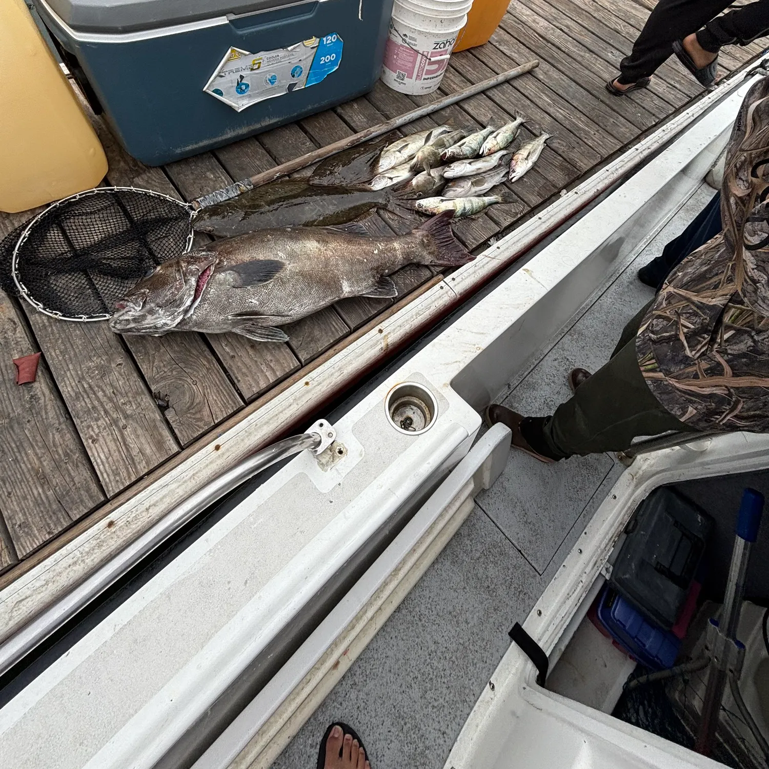 recently logged catches