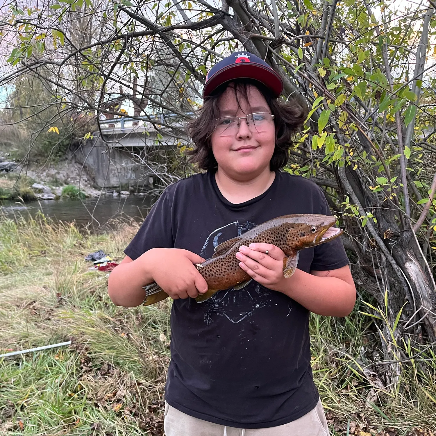 Brown trout caught on Fishbrain