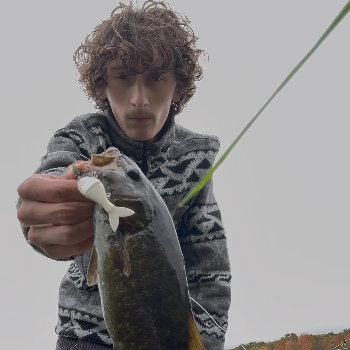 Smallmouth bass caught on Fishbrain
